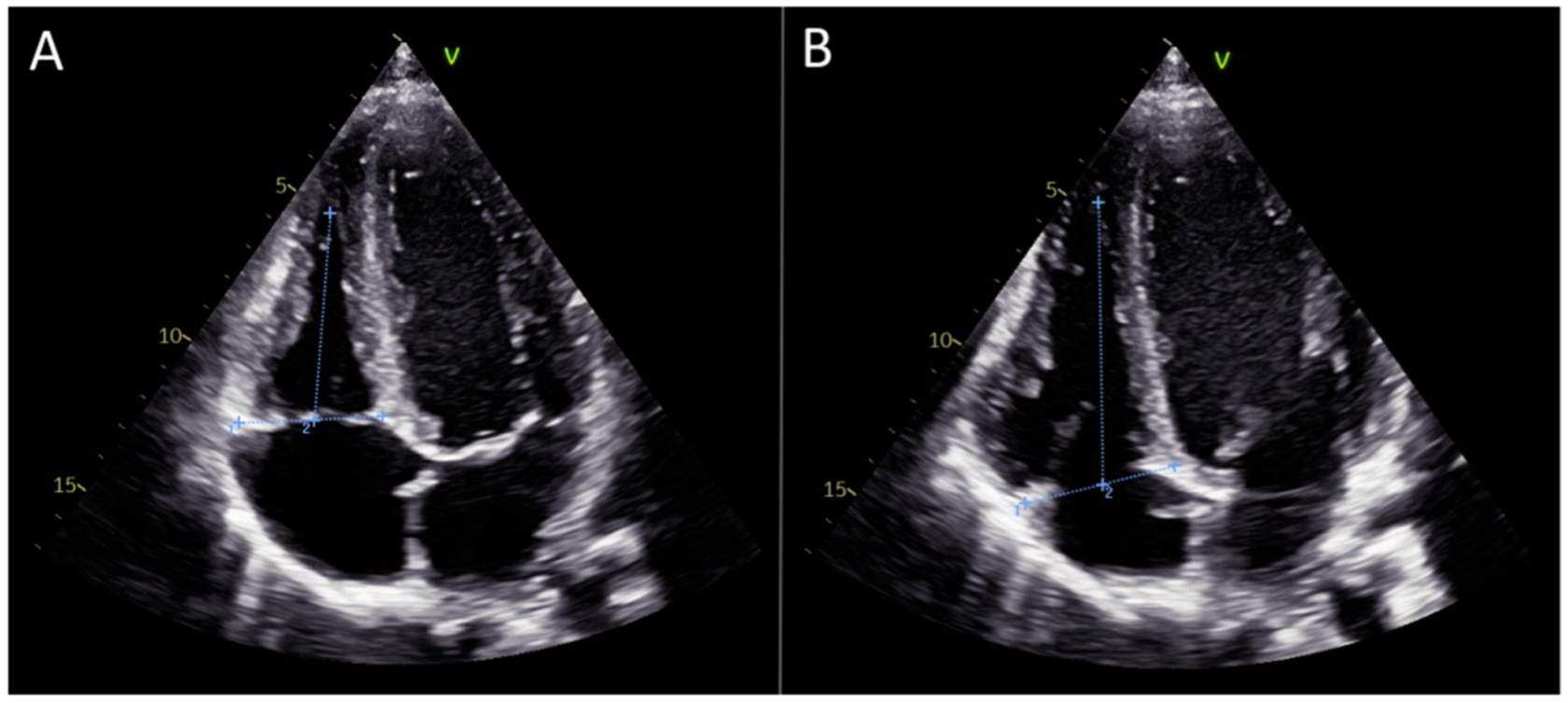 Medicina 61 00446 g002