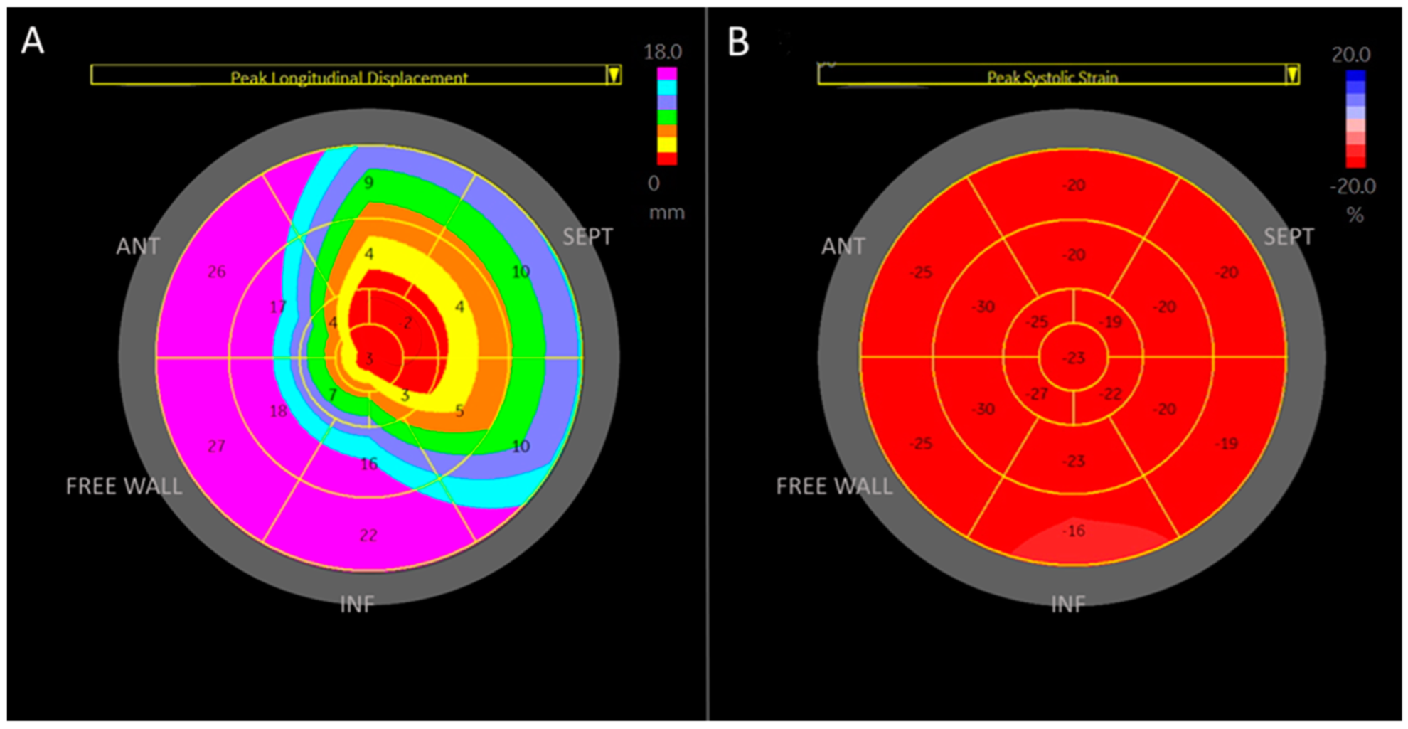 Medicina 61 00446 g004