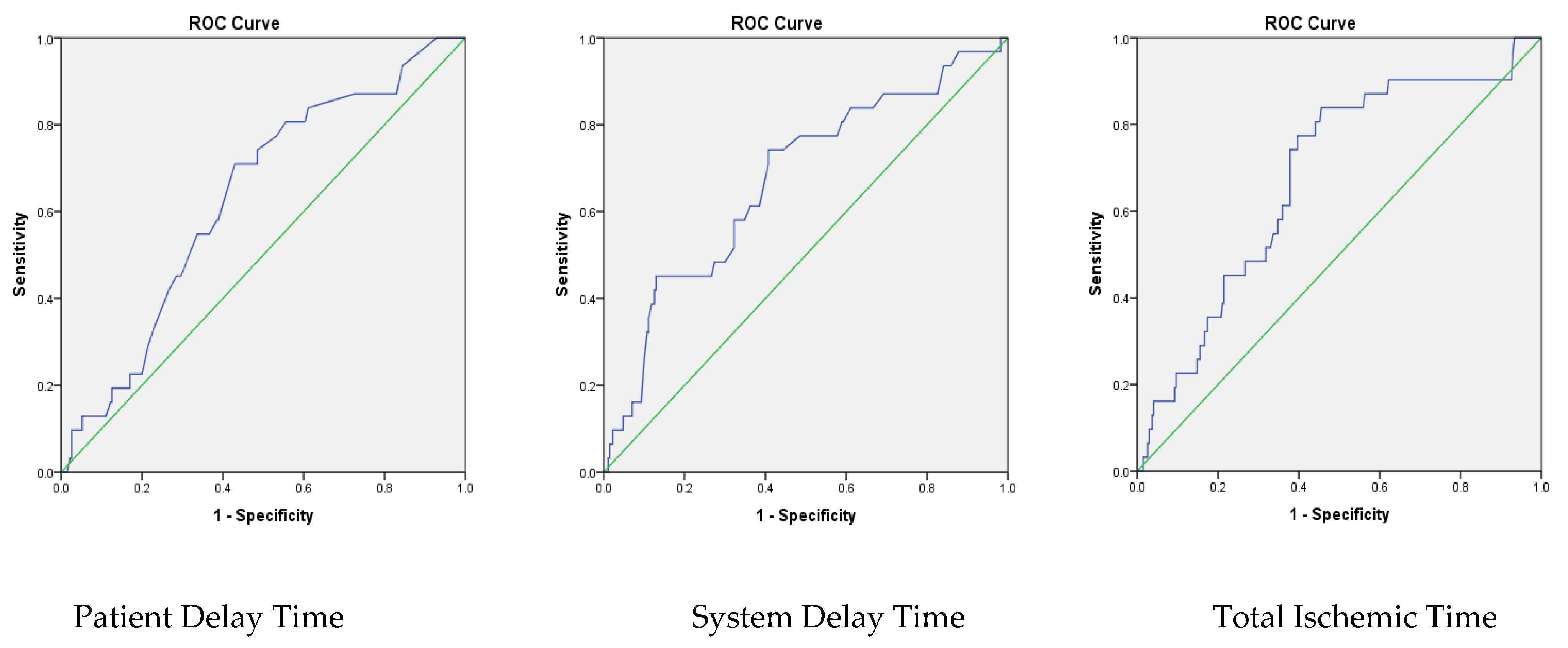 Medicina 61 00447 g001