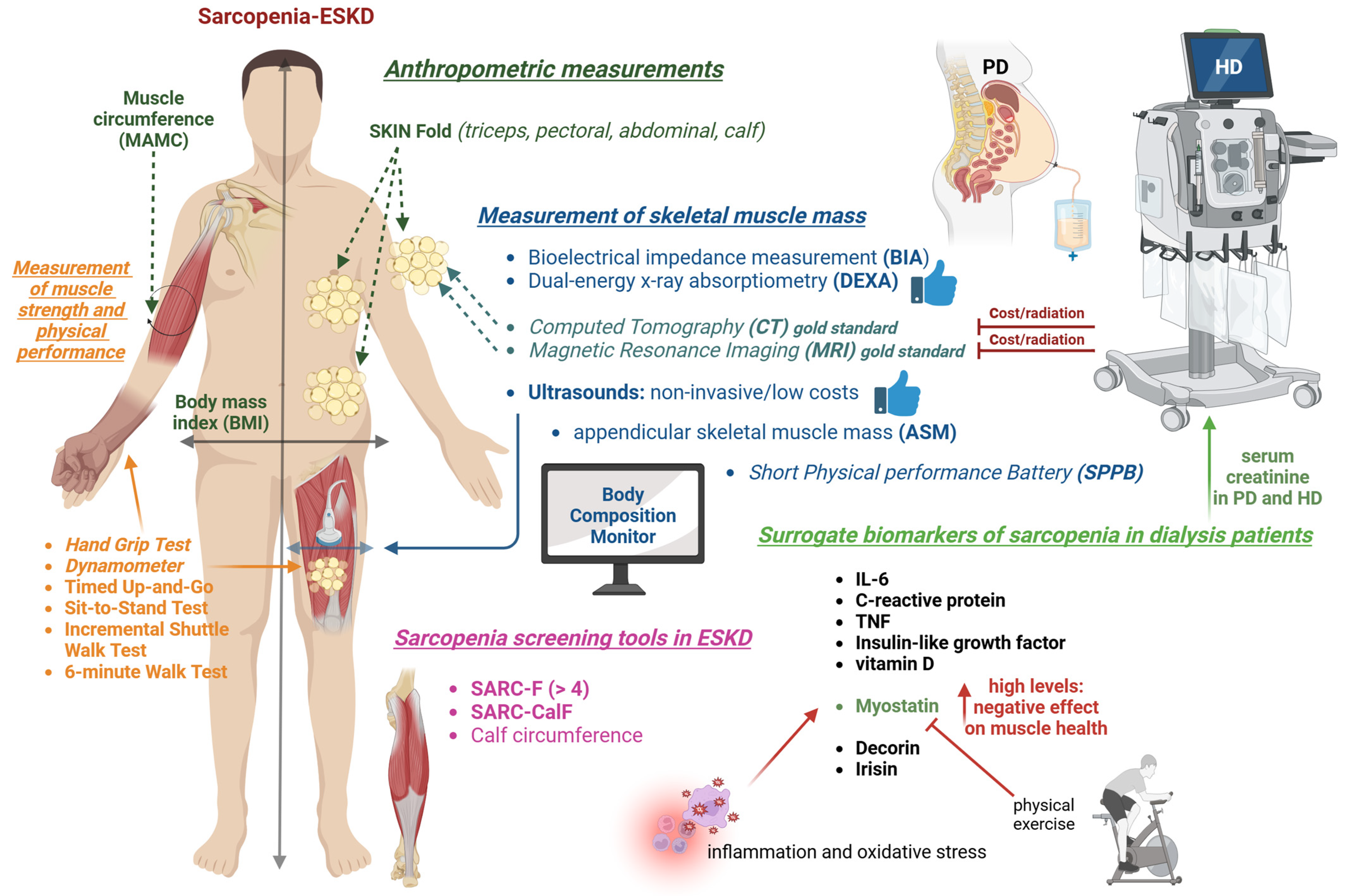 Medicina 61 00449 g002 Medicina 61 00449 g002