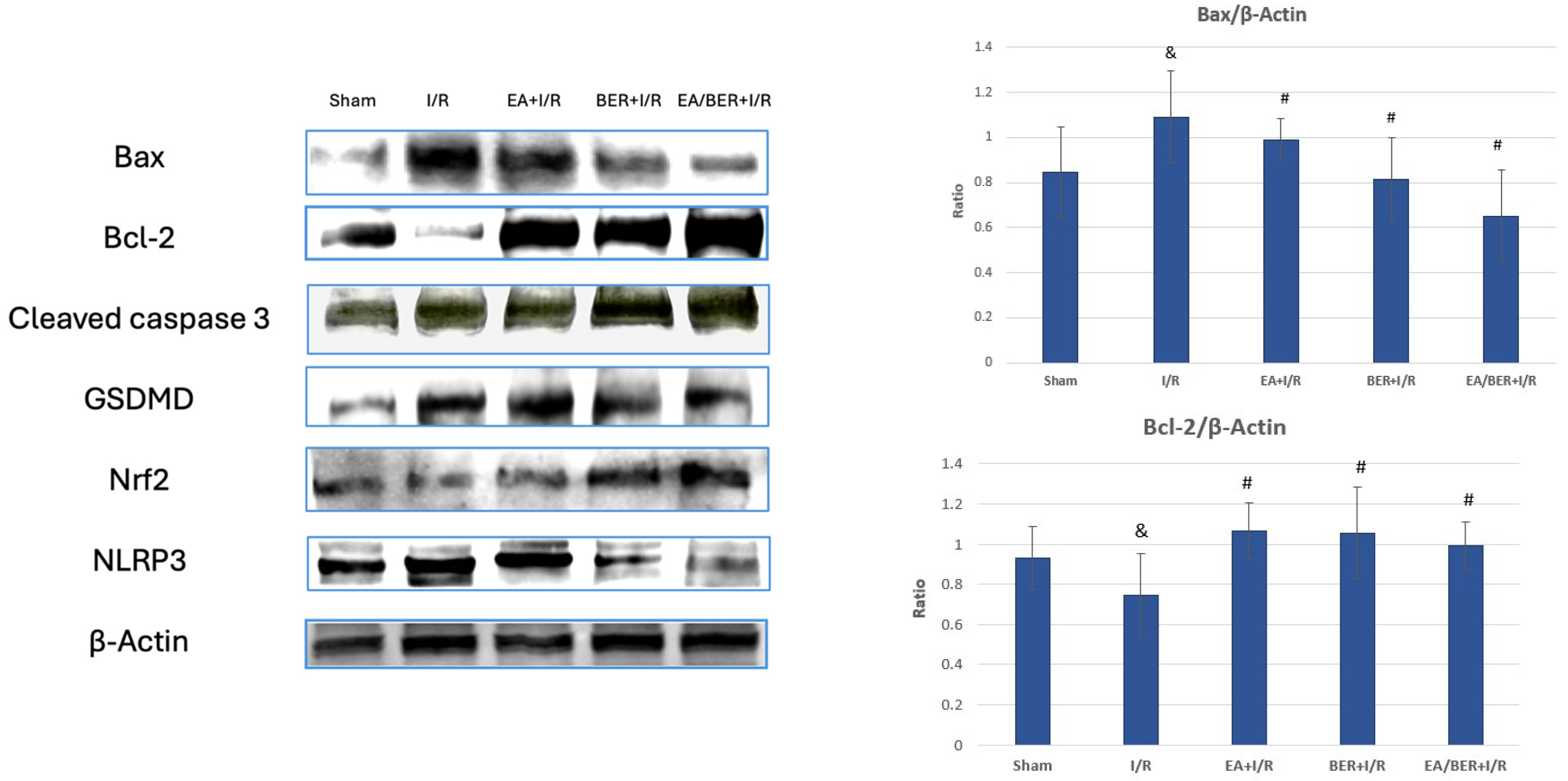 Medicina 61 00451 g003a
