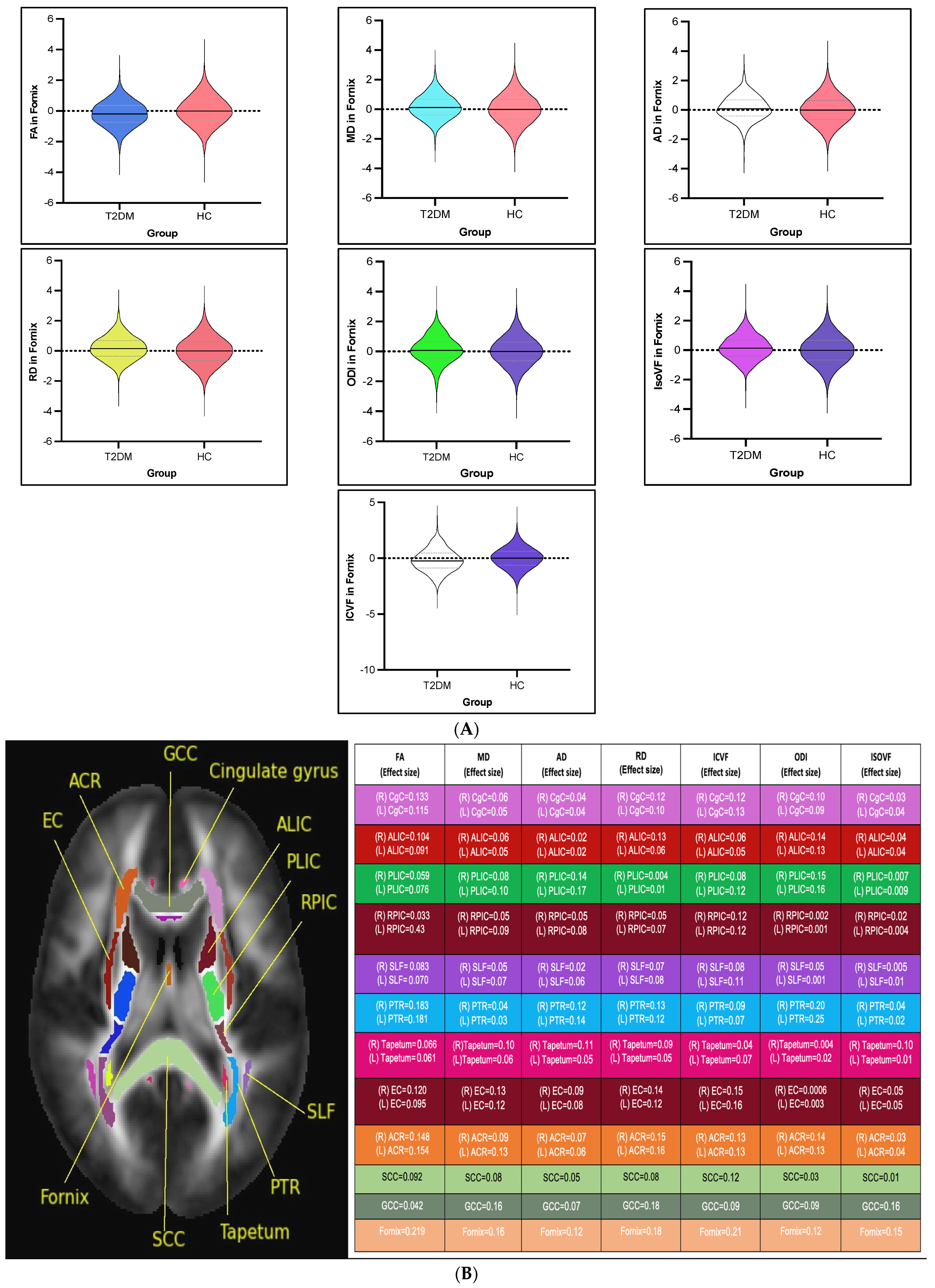 Medicina 61 00455 g002