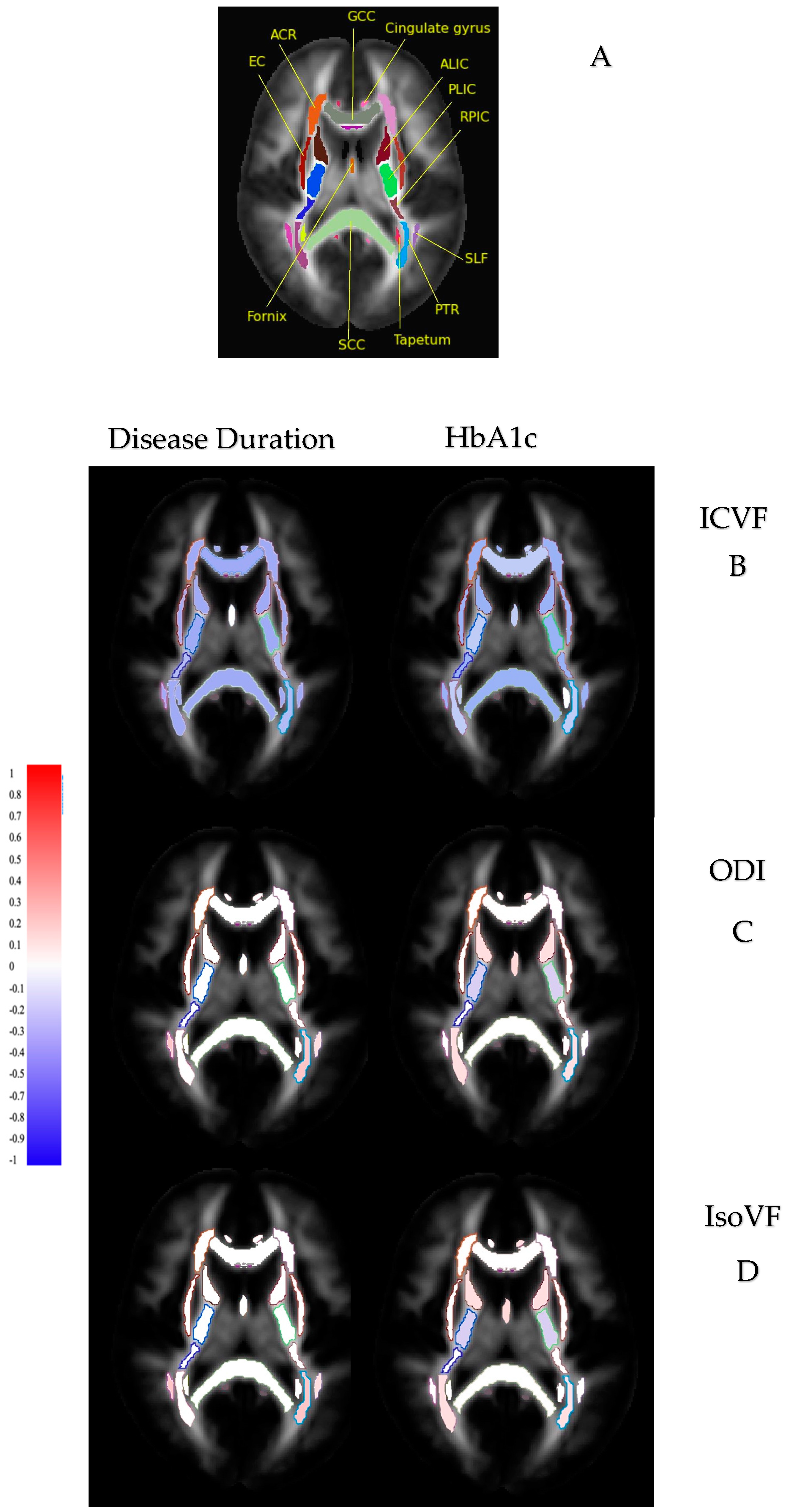 Medicina 61 00455 g004