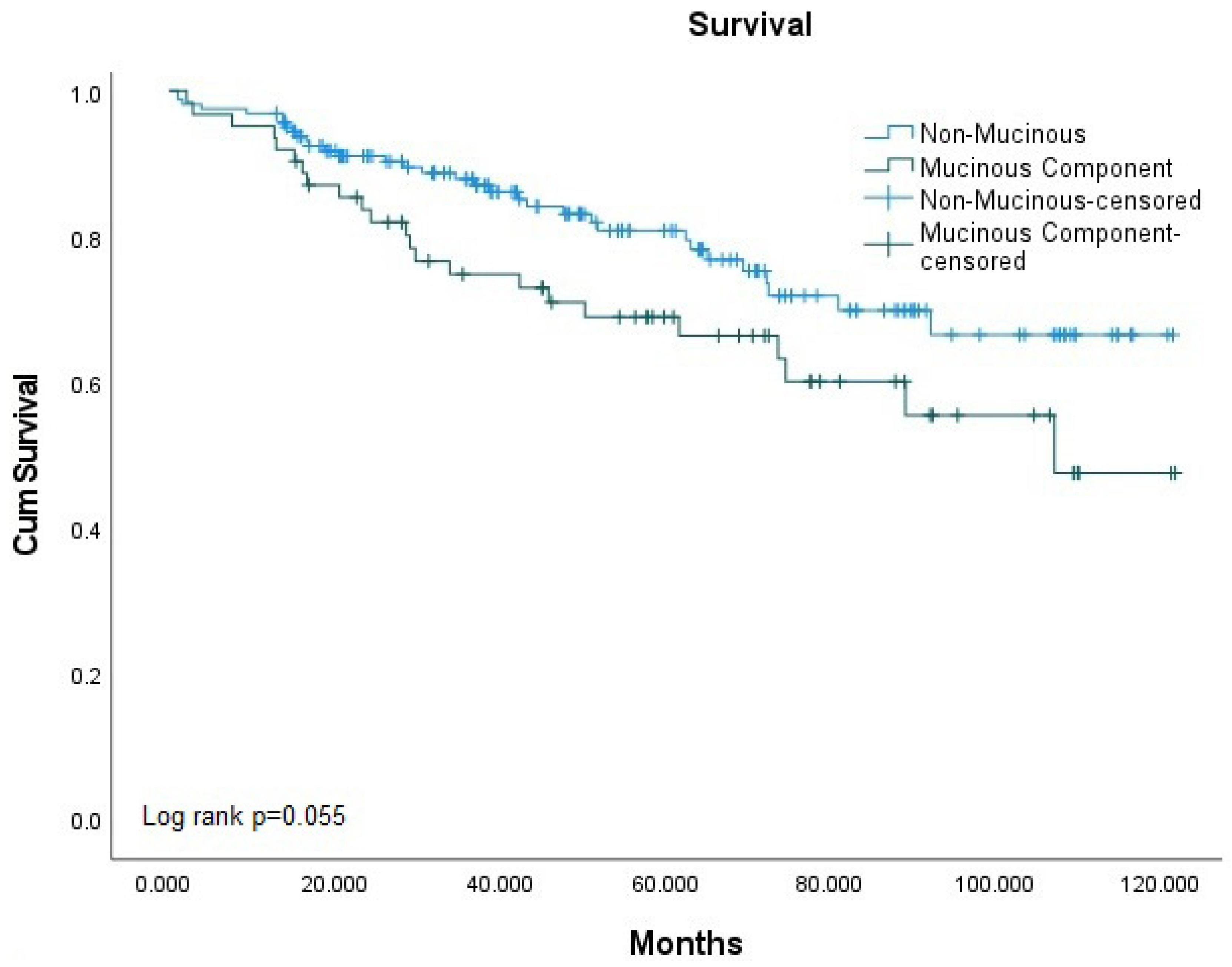 Medicina 61 00456 g002