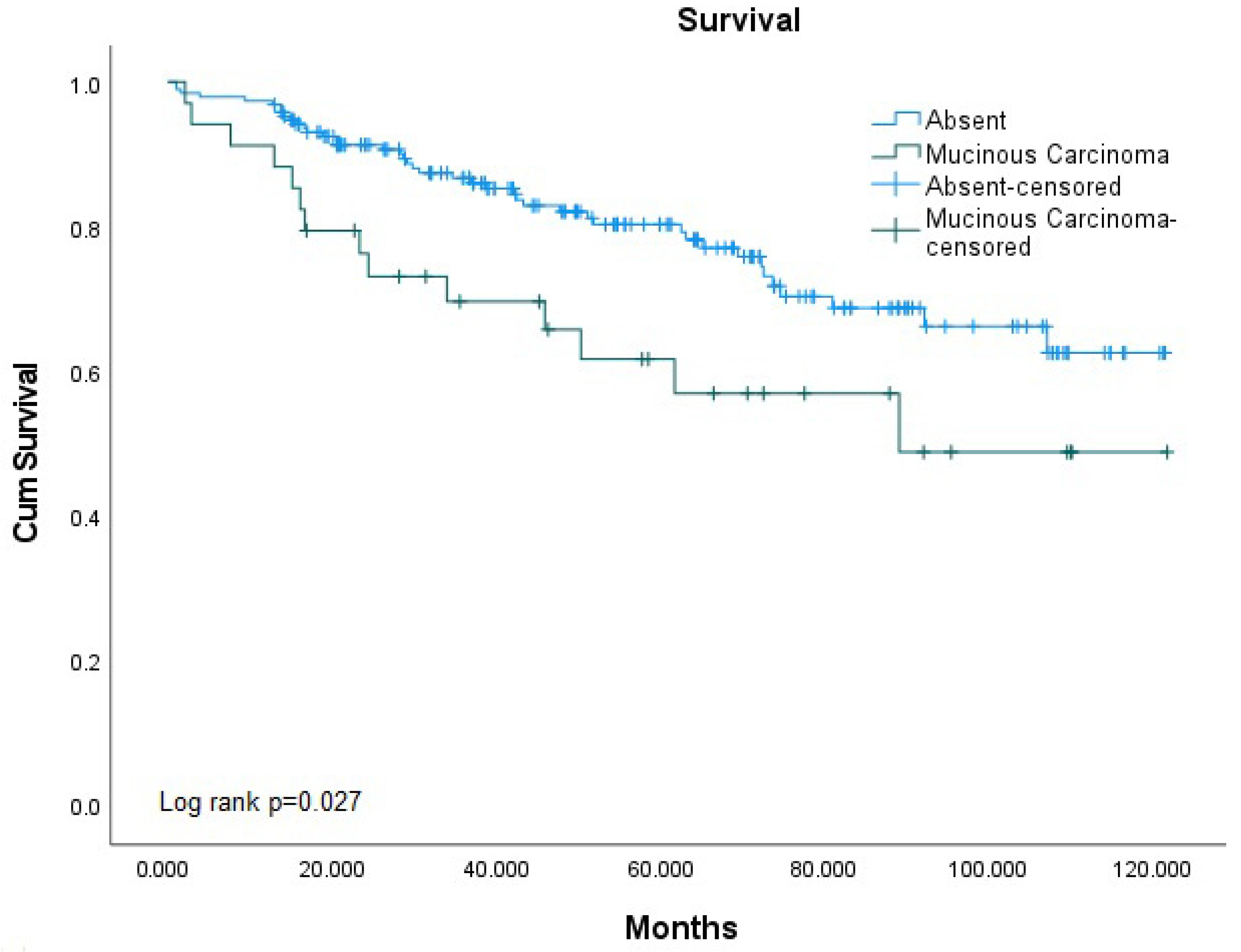 Medicina 61 00456 g003