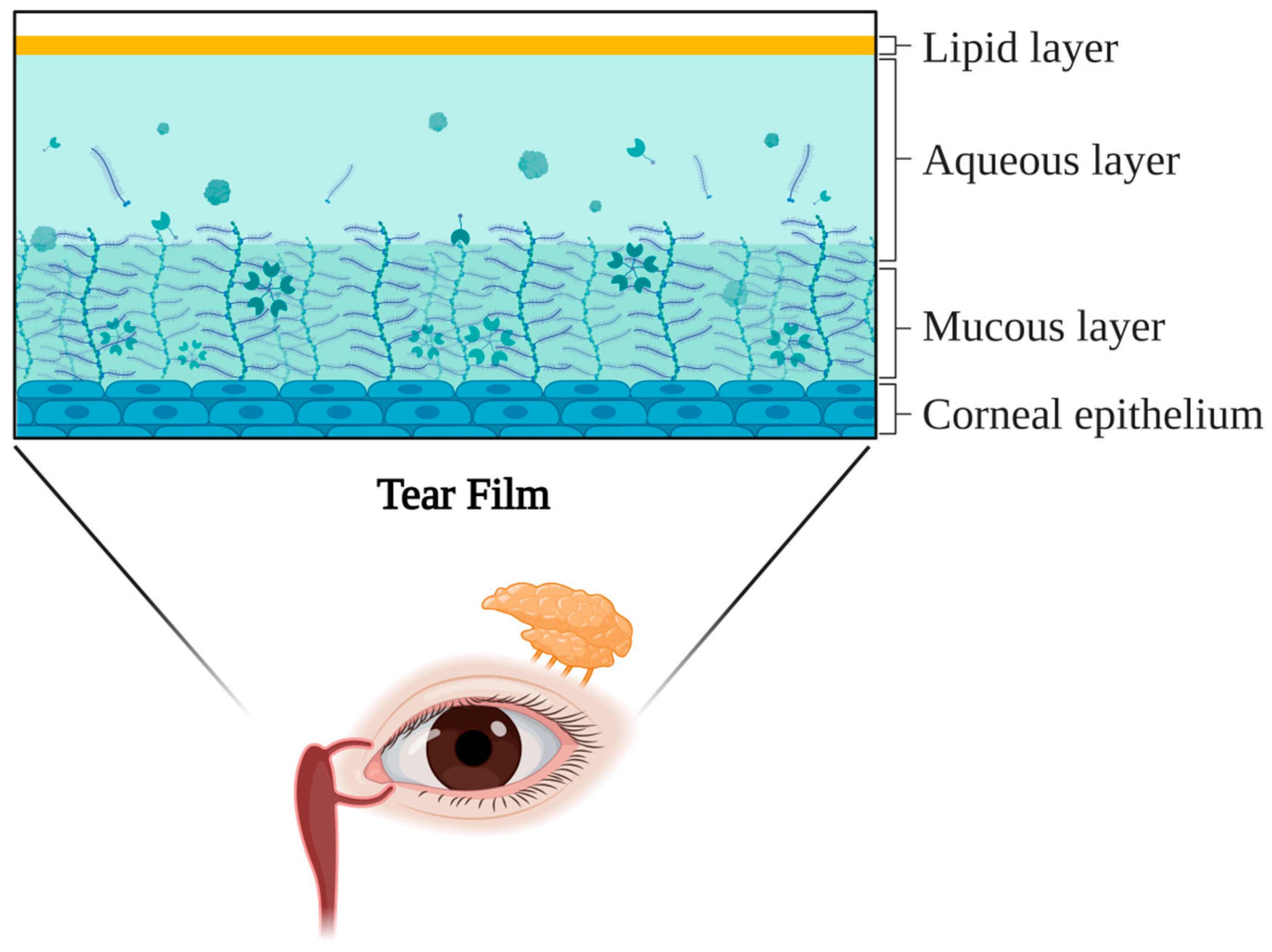 Medicina 61 00460 g001