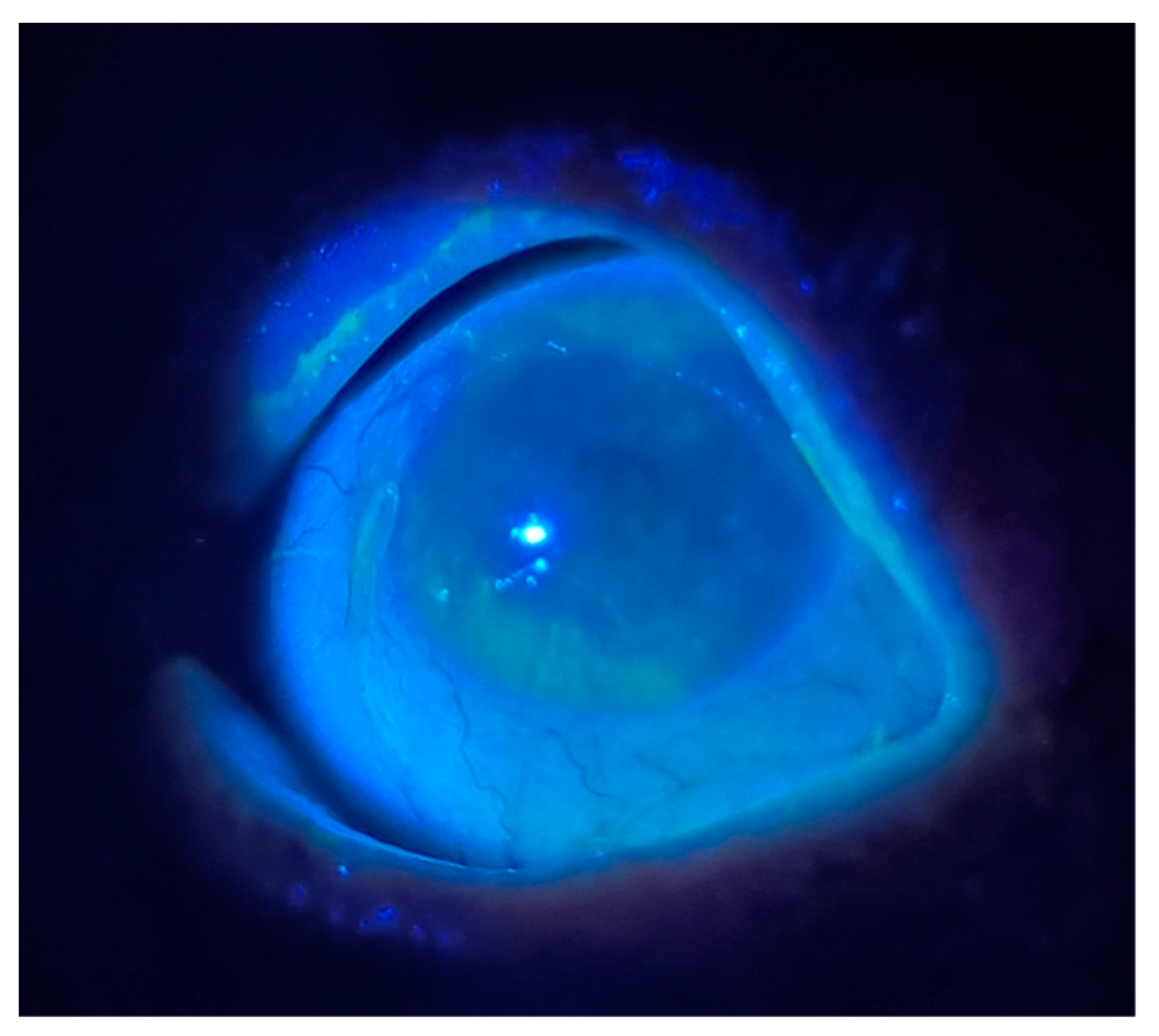 Medicina 61 00460 g002