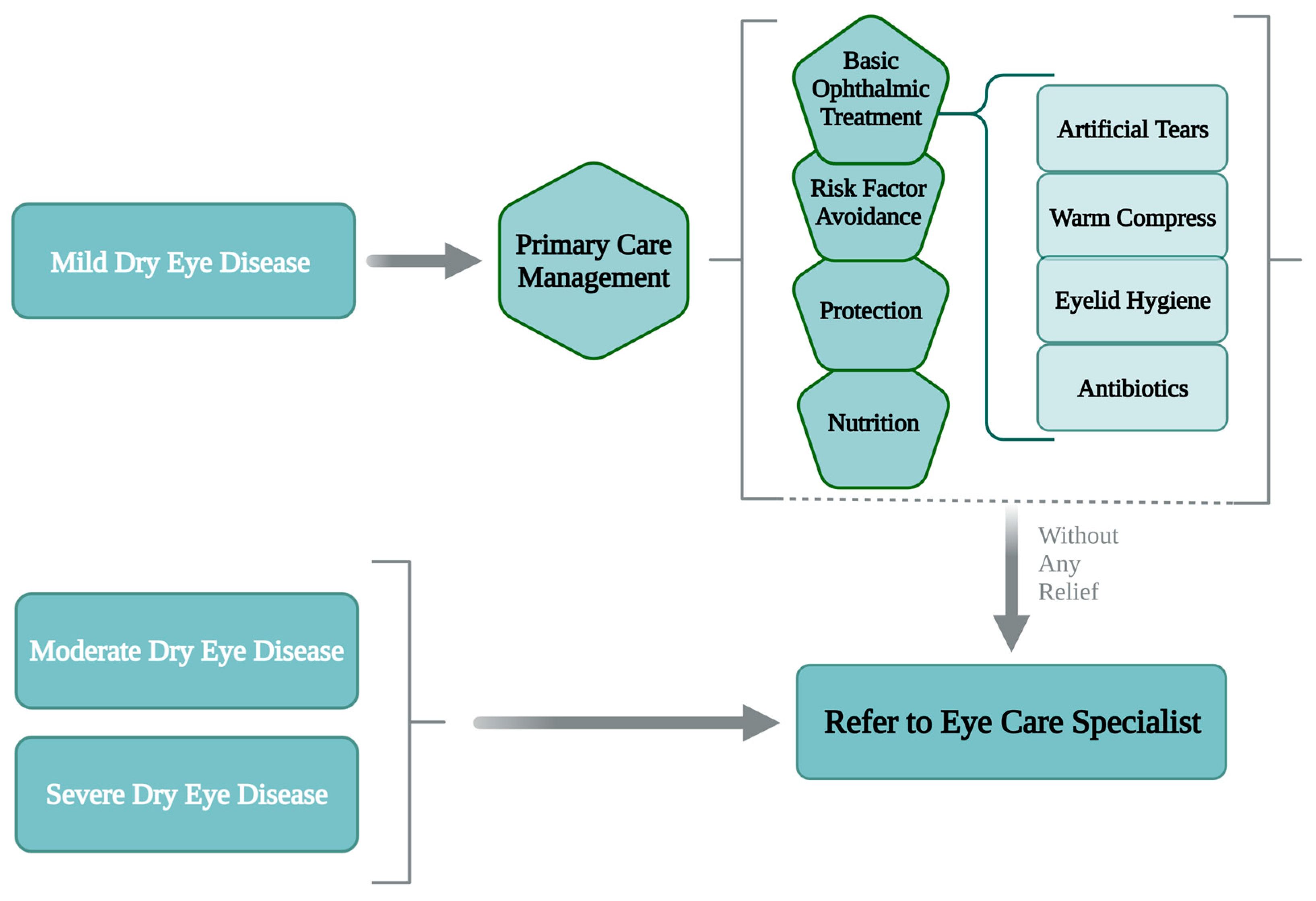 Medicina 61 00460 g004