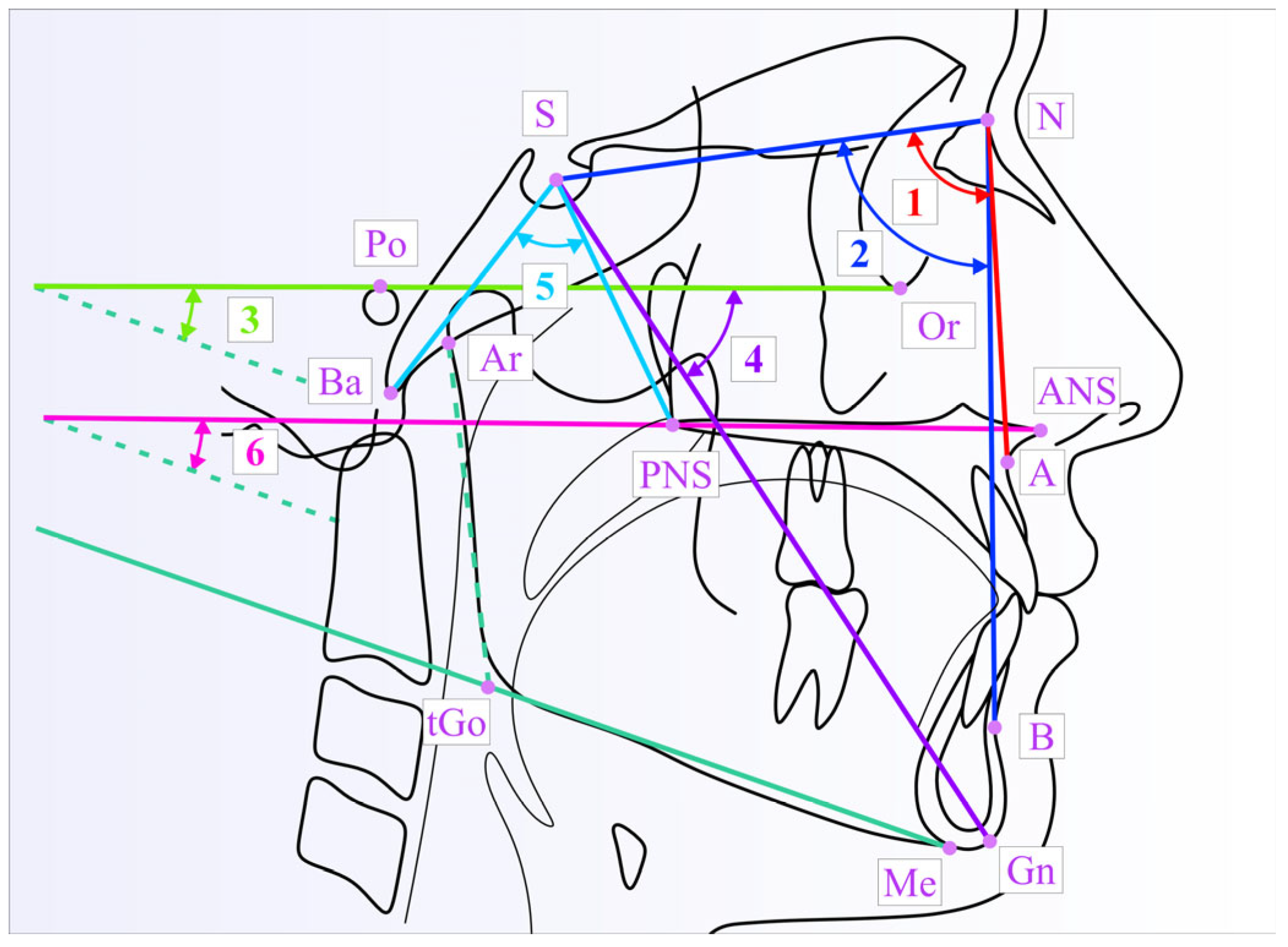 Medicina 61 00463 g001