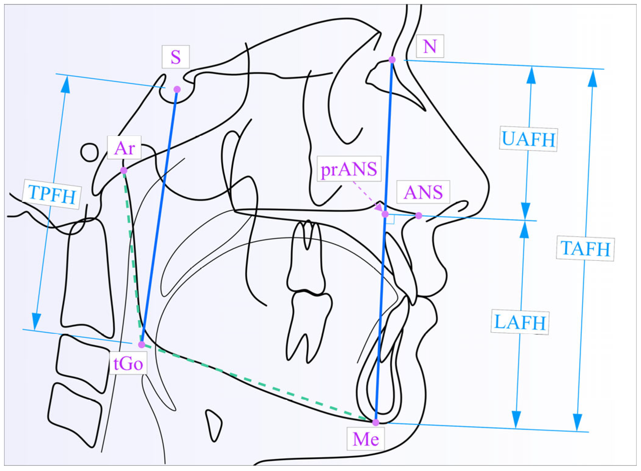 Medicina 61 00463 g002