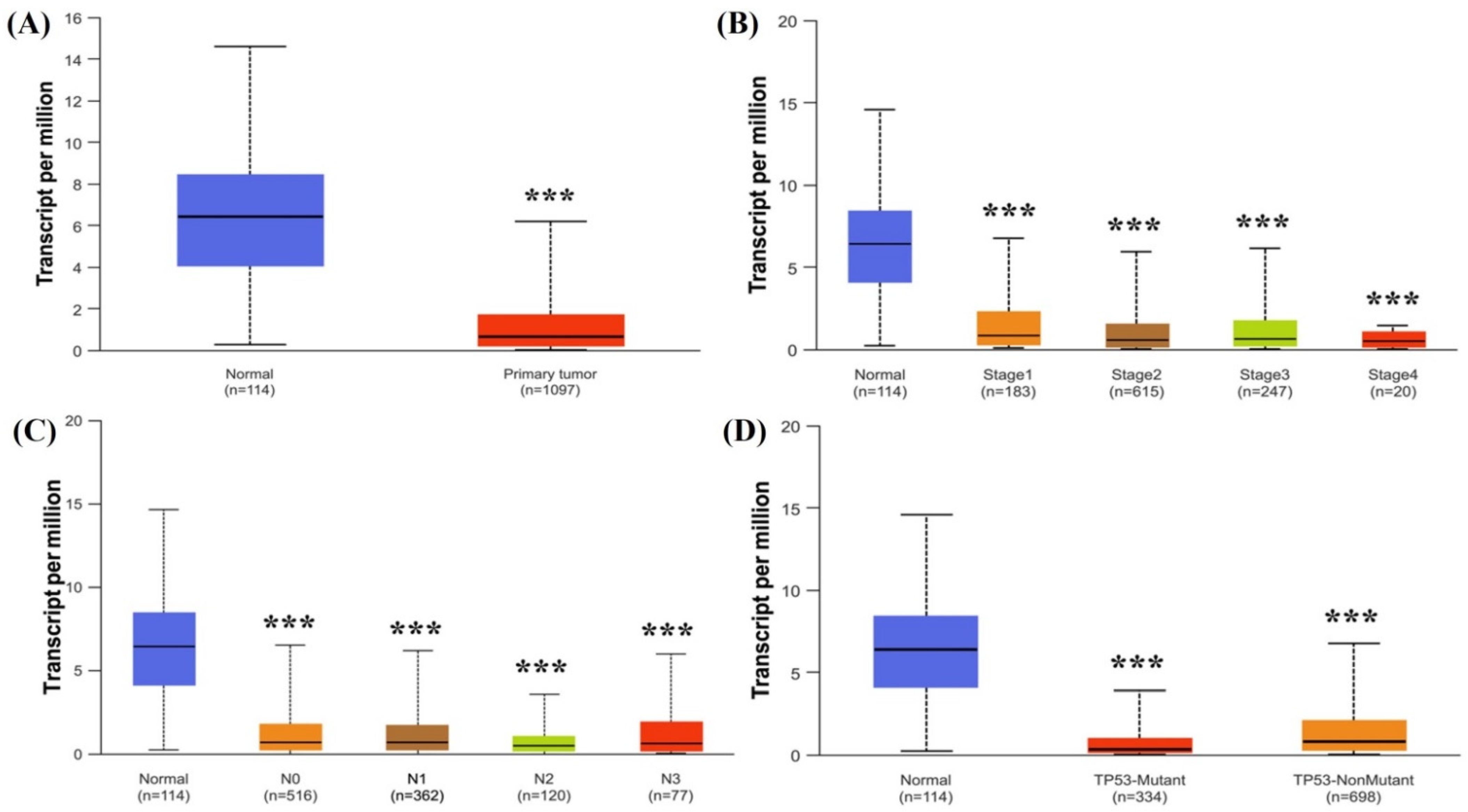 Medicina 61 00474 g002