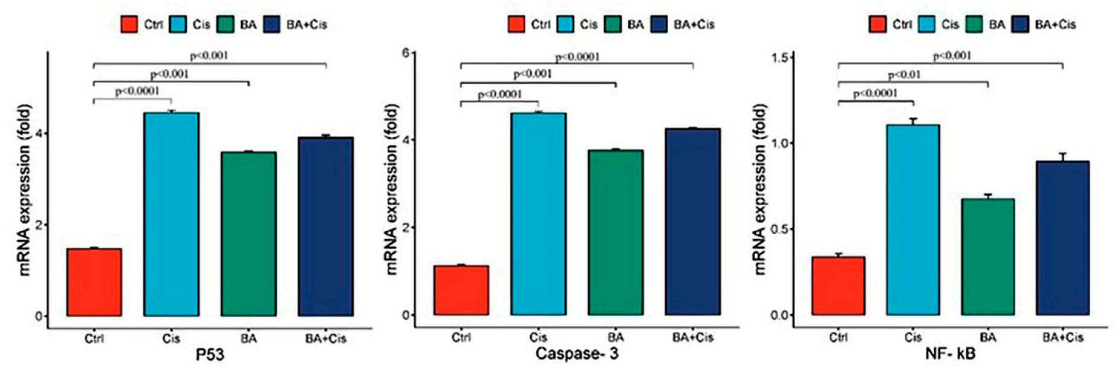 Medicina 61 00480 g004
