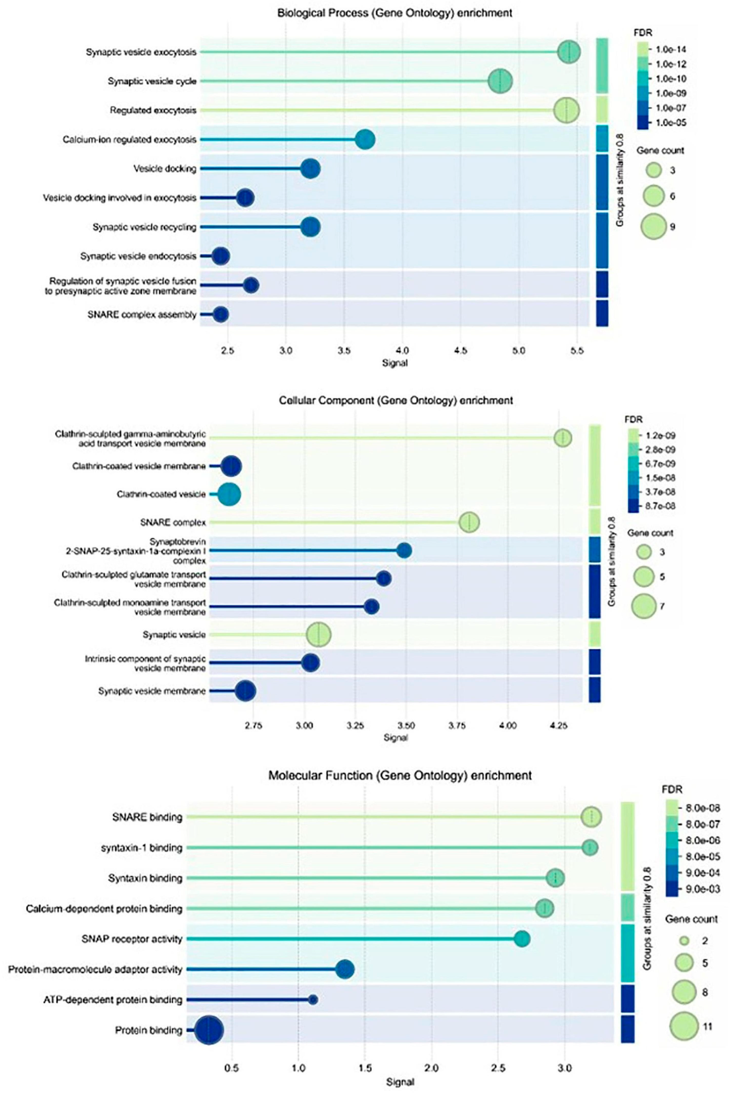 Medicina 61 00480 g005