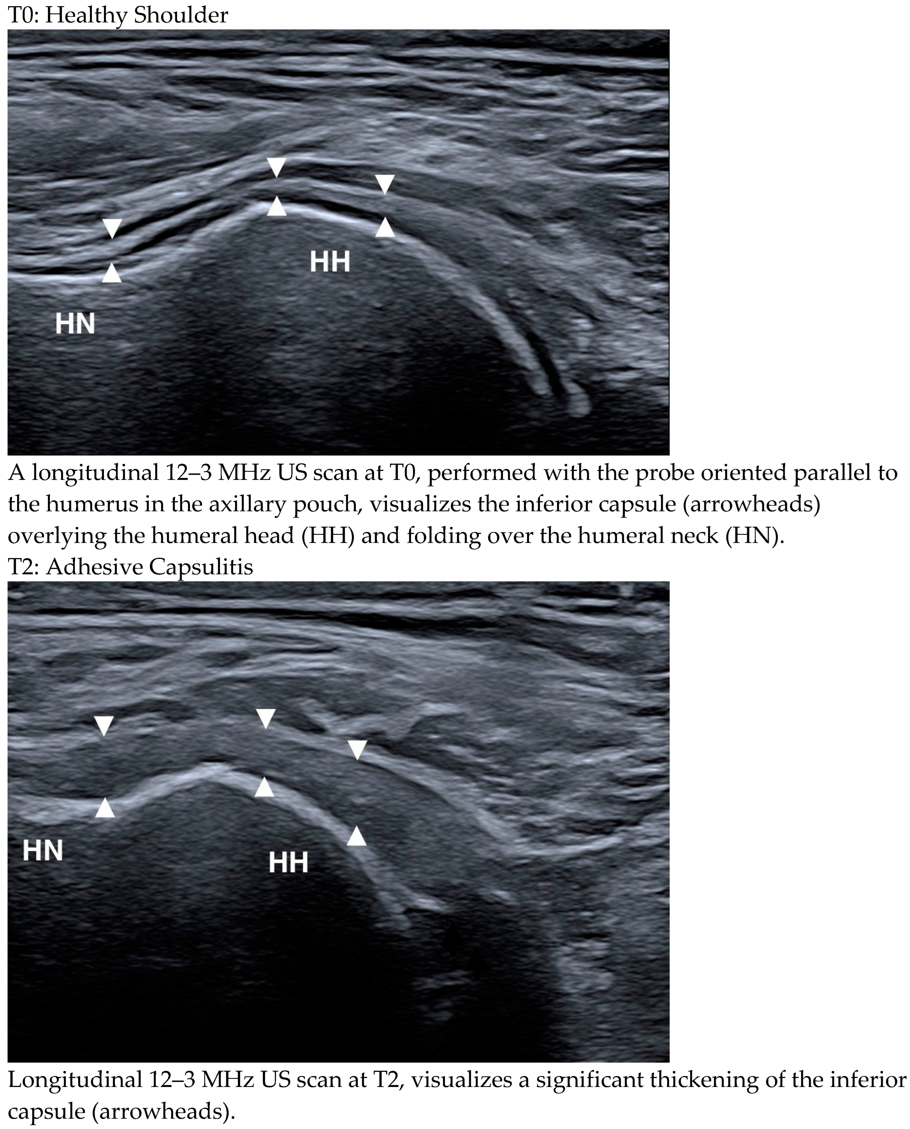 Medicina 61 00484 g002 Medicina 61 00484 g002