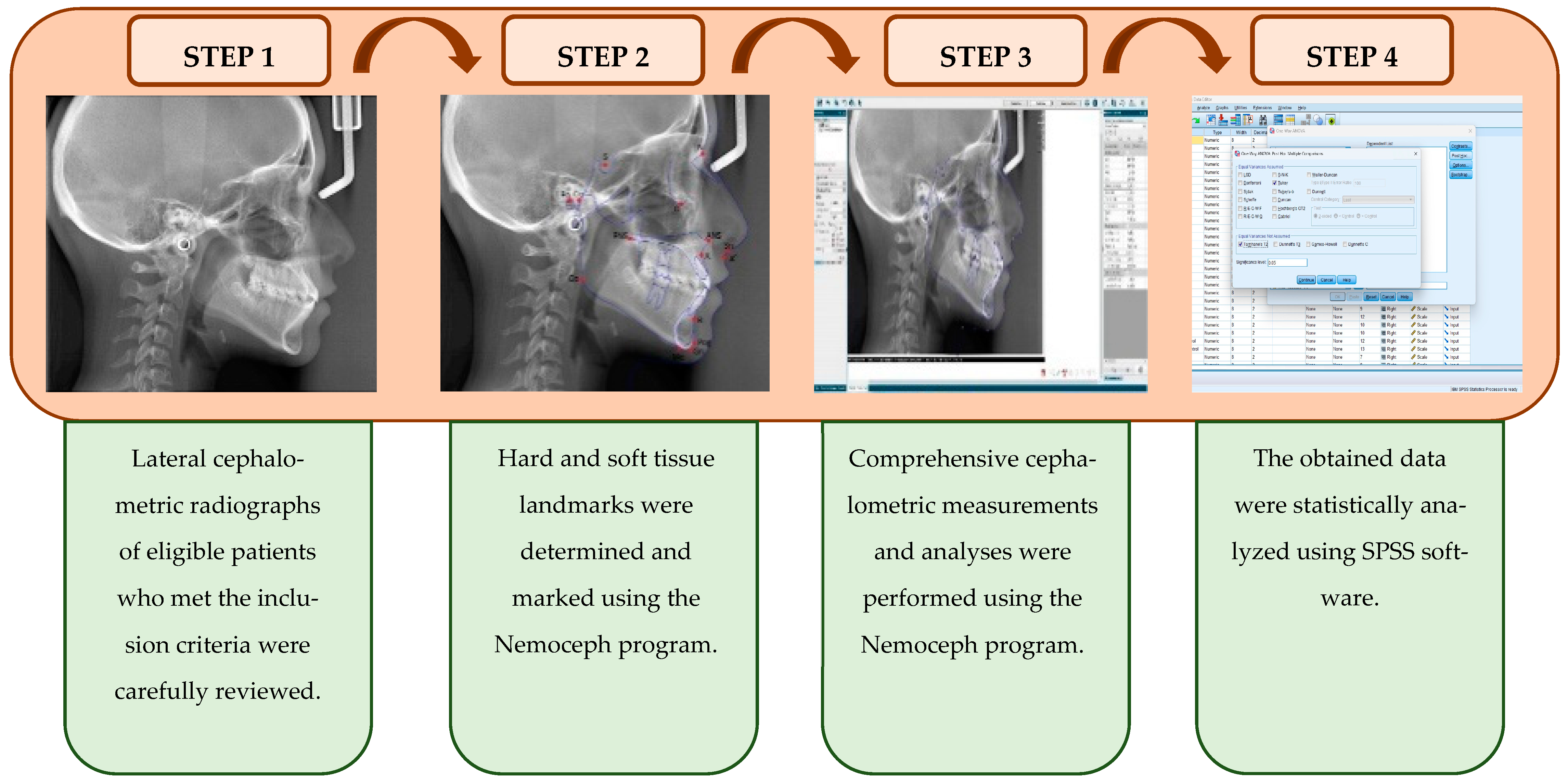 Medicina 61 00485 g002 Medicina 61 00485 g002