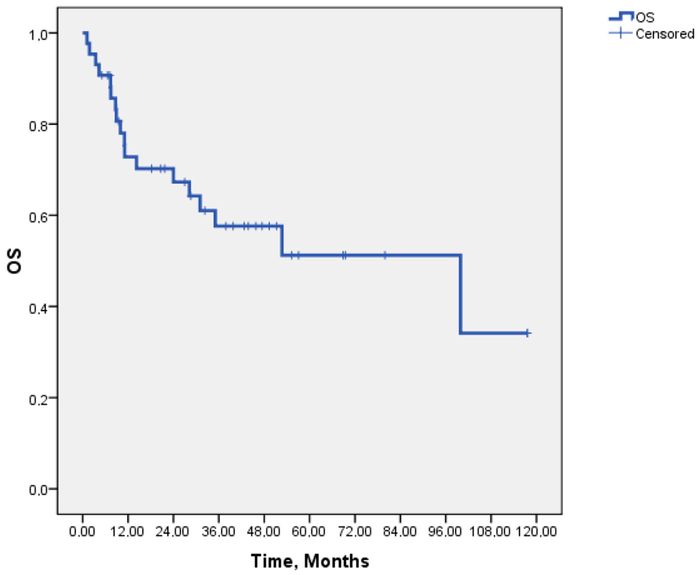 Medicina 61 00490 g002