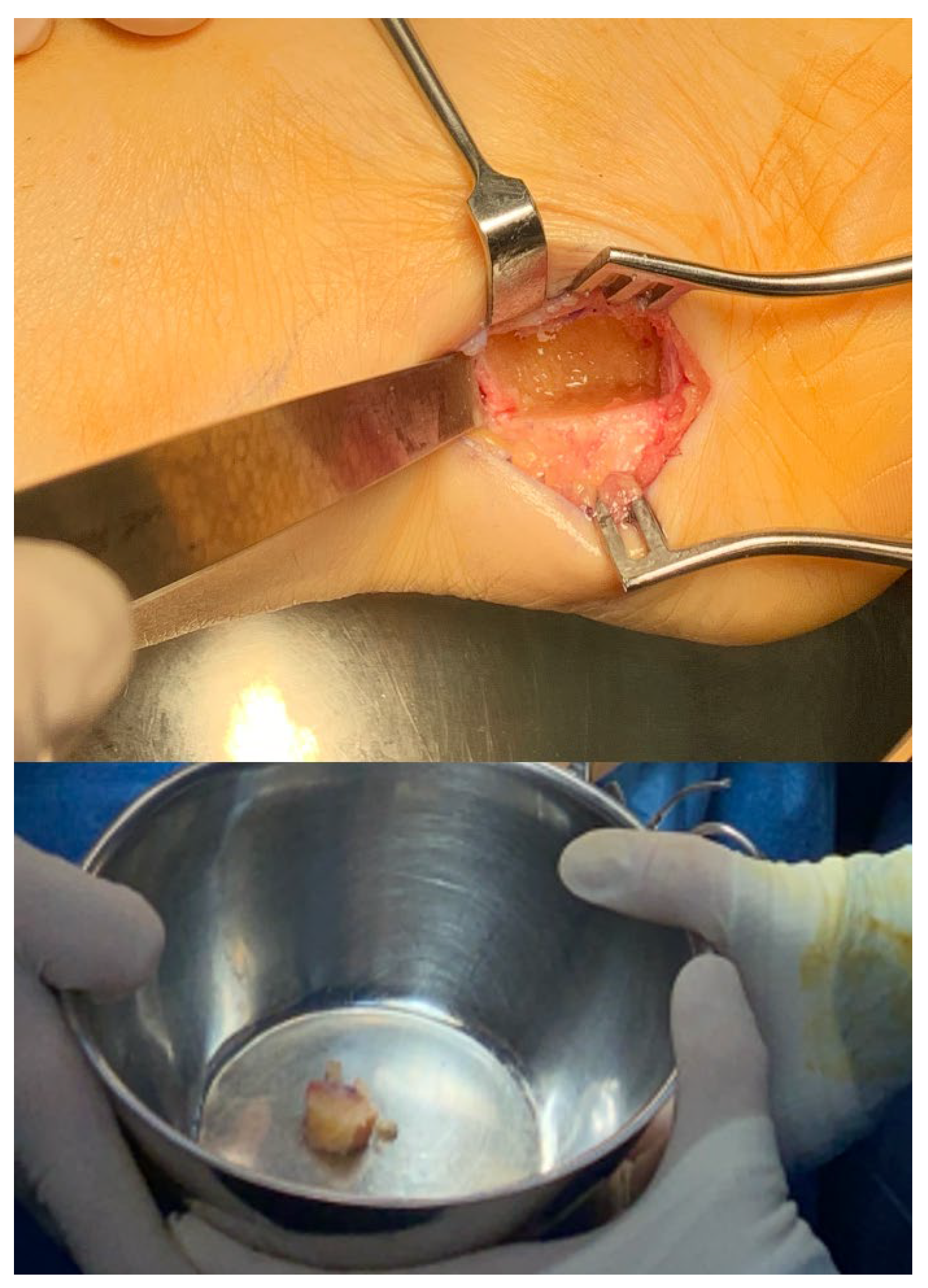 Medicina 61 00497 g002