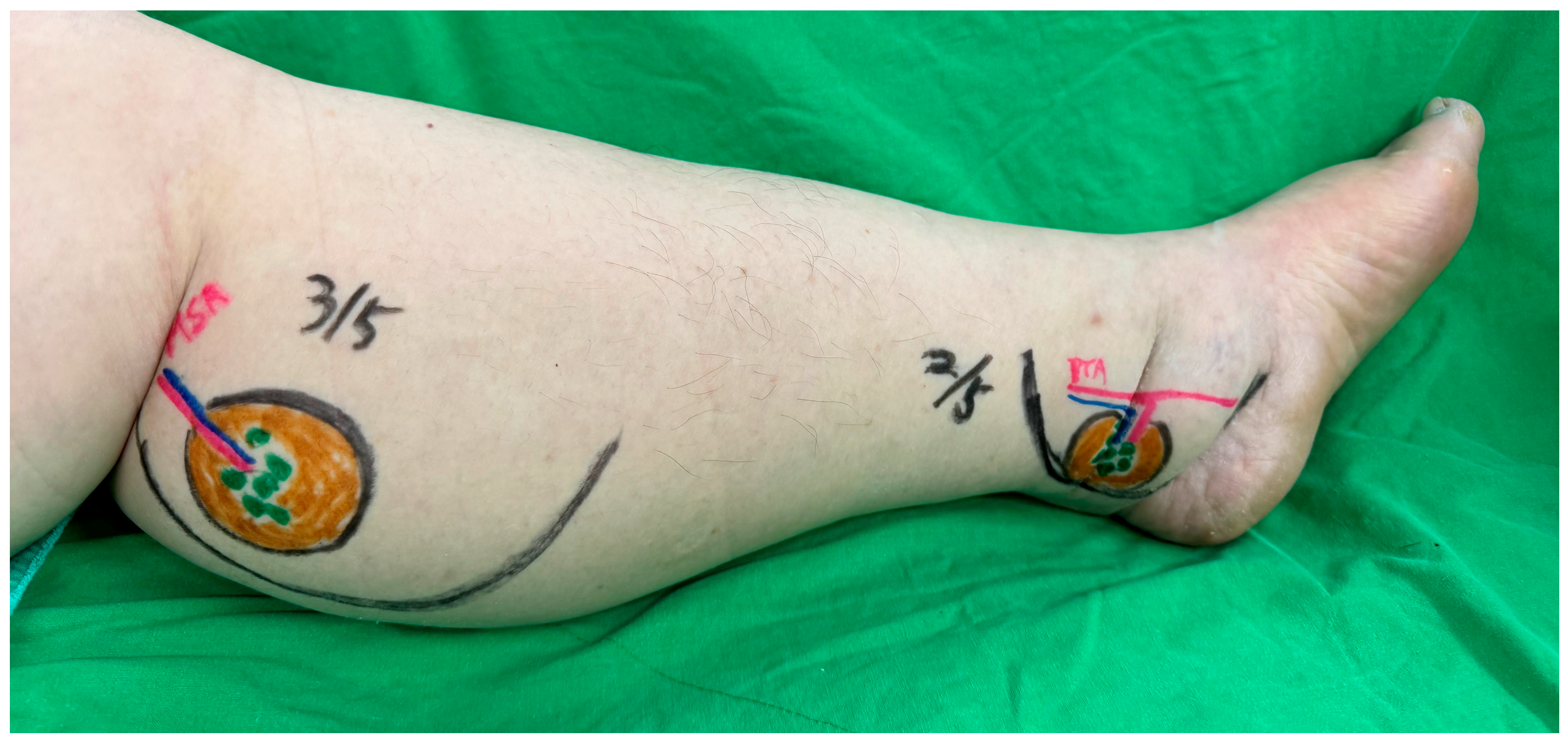 Medicina 61 00503 g003