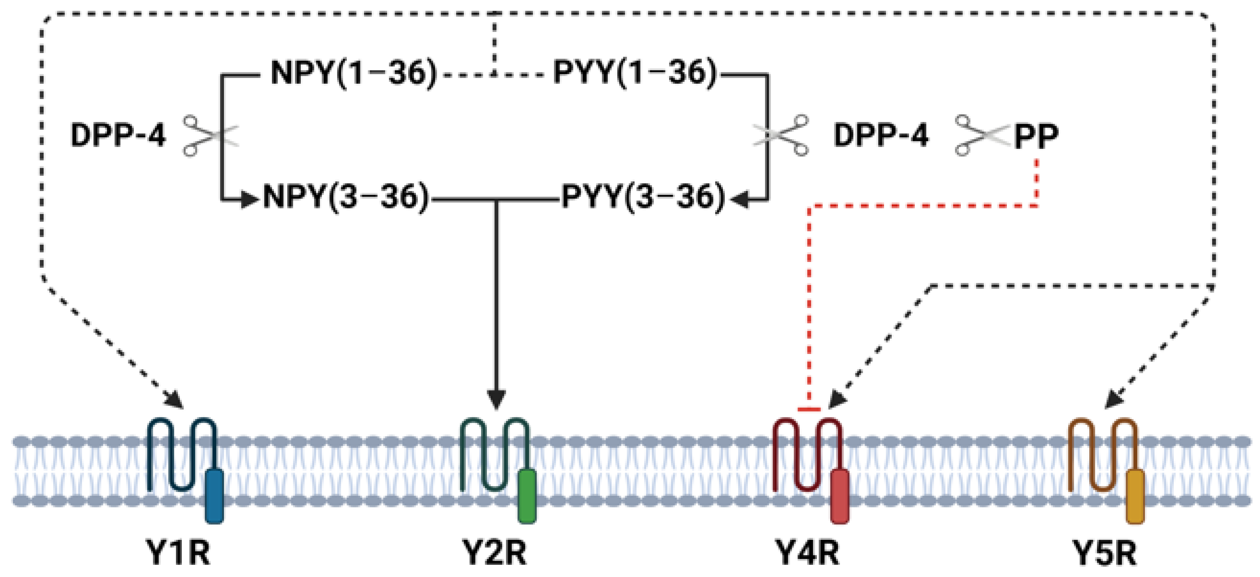 Medicina 61 00504 g001