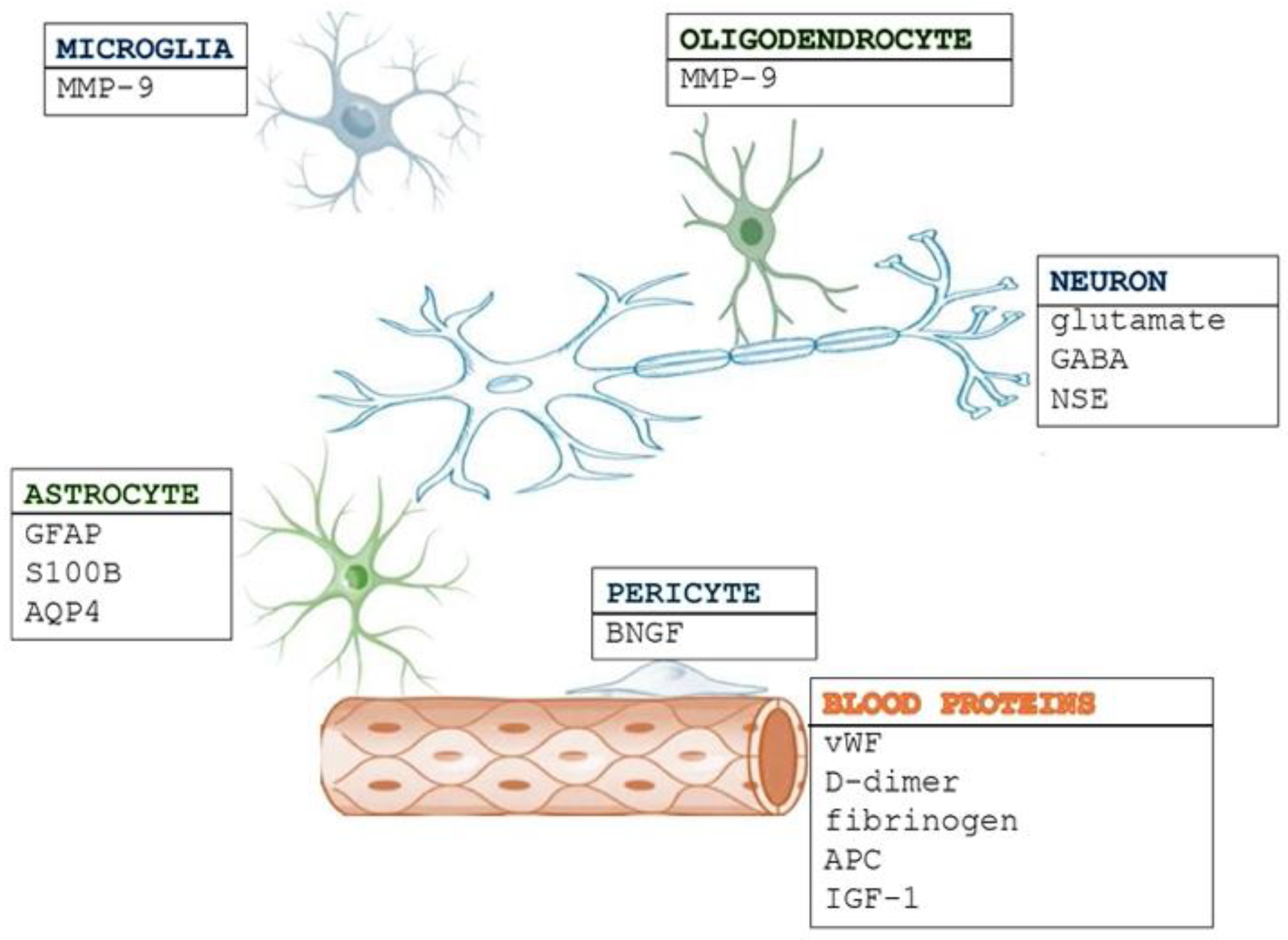 Medicina 61 00514 g001