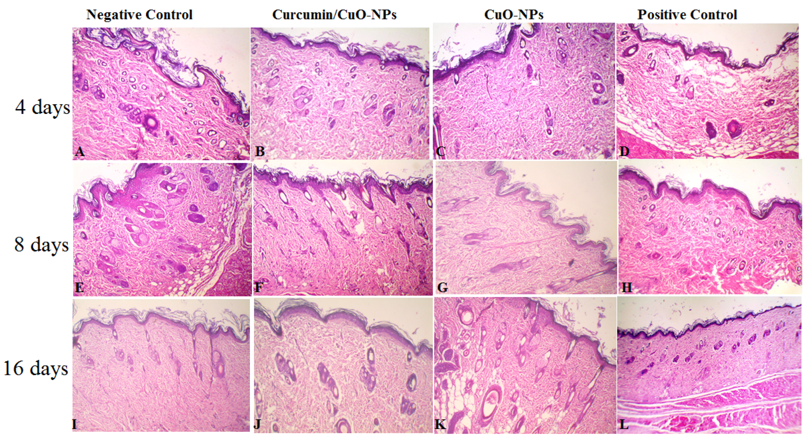 Medicina 61 00515 g005