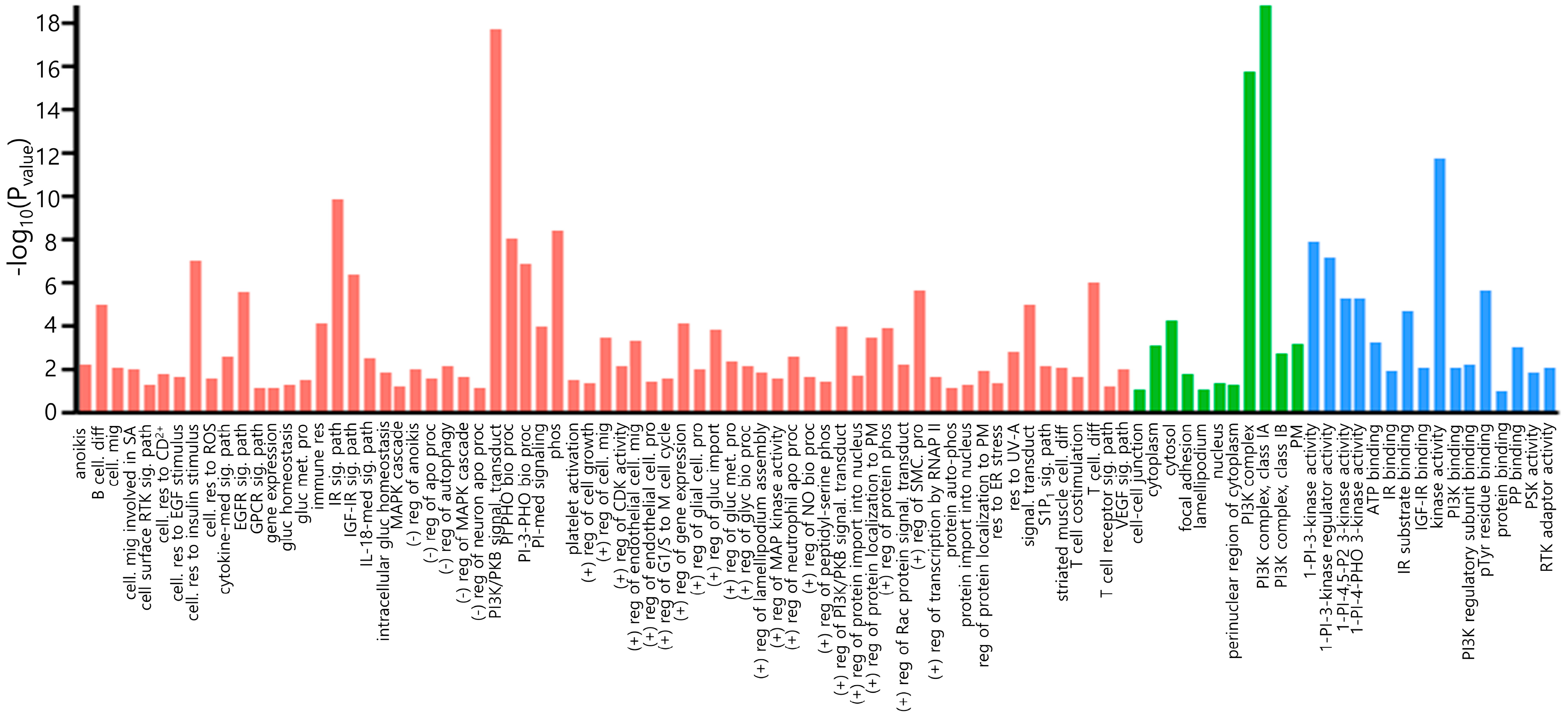 Medicina 61 00518 g001