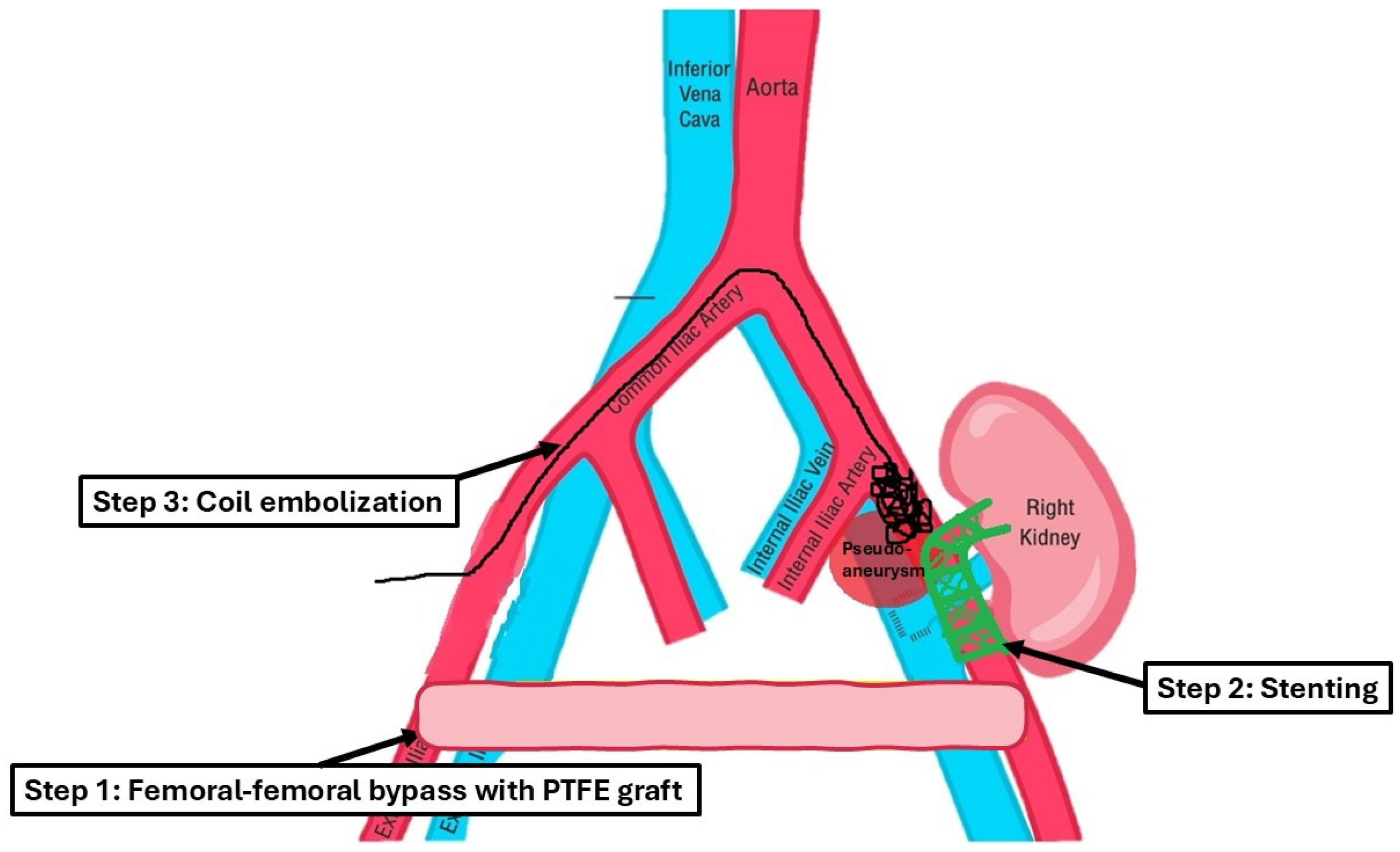 Medicina 61 00521 g002