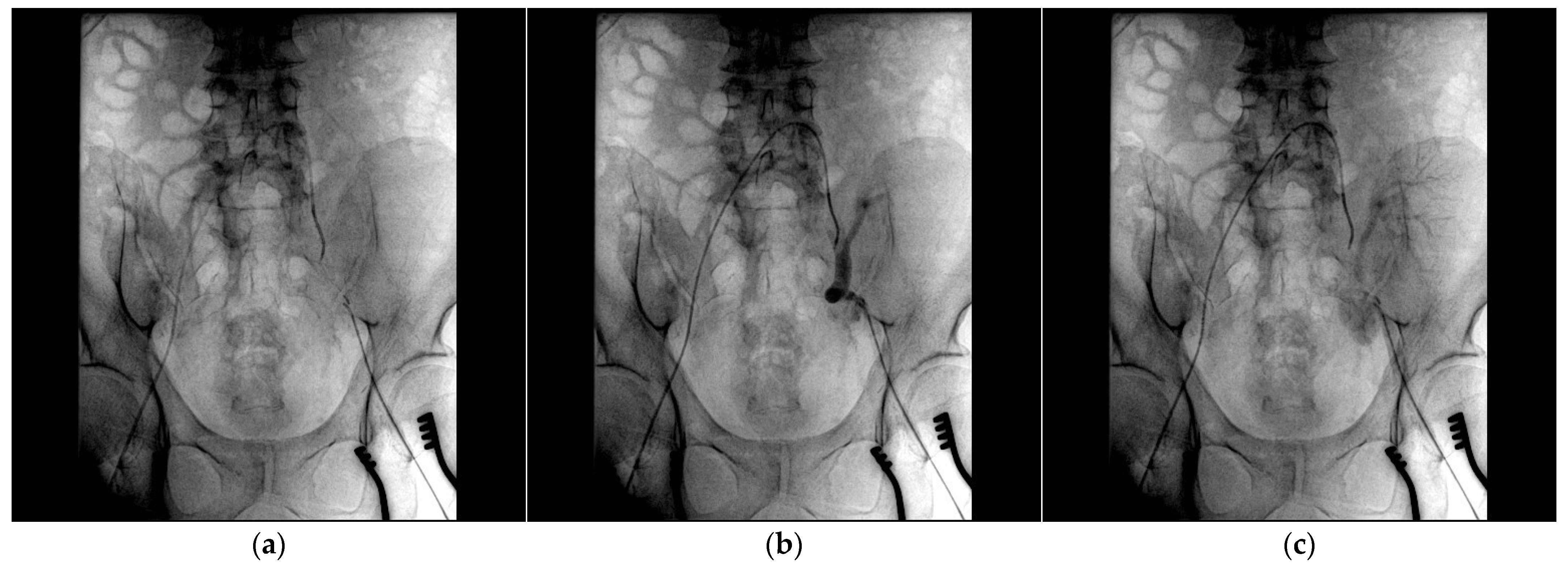Medicina 61 00521 g003