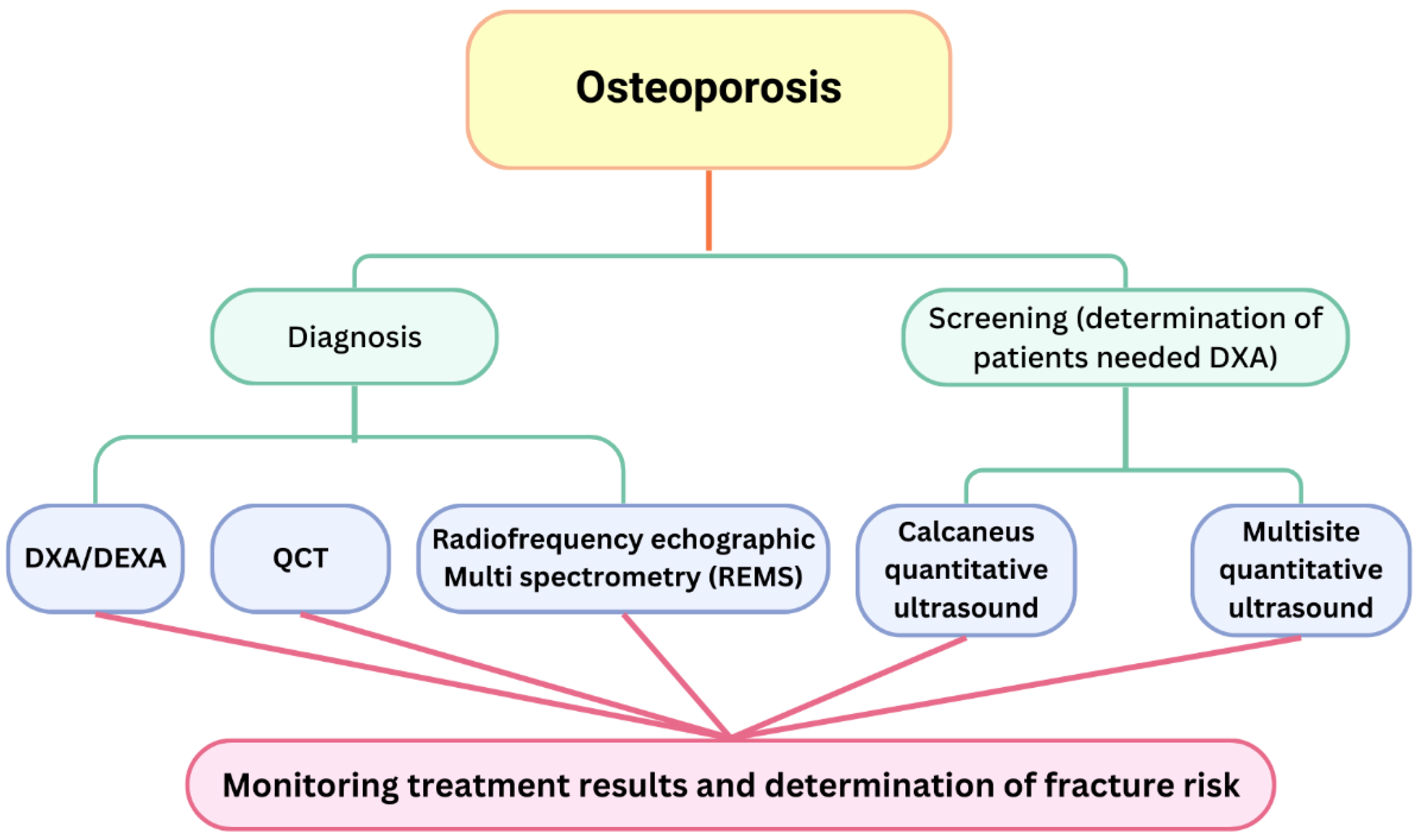 Medicina 61 00530 g003