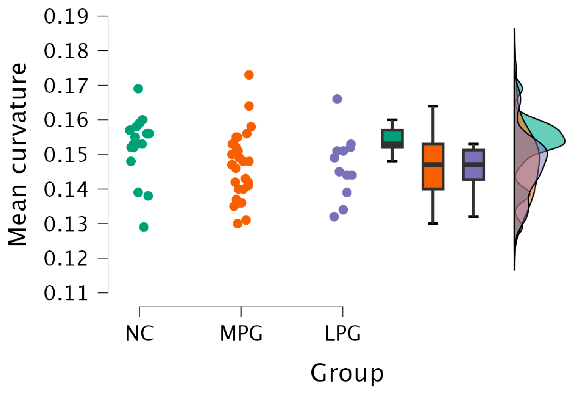 Medicina 61 00531 g004
