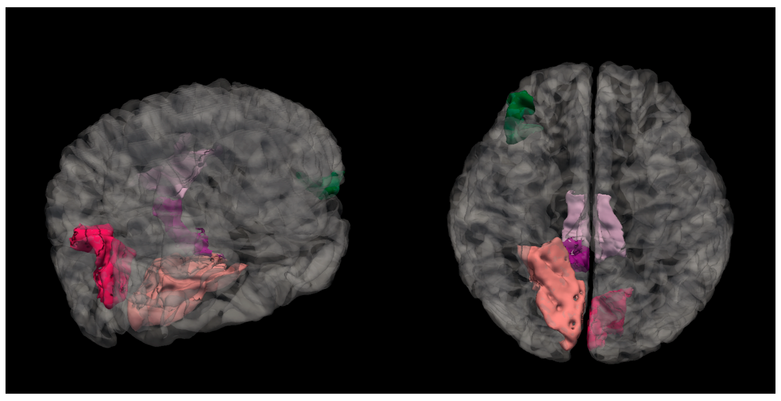 Medicina 61 00531 g005