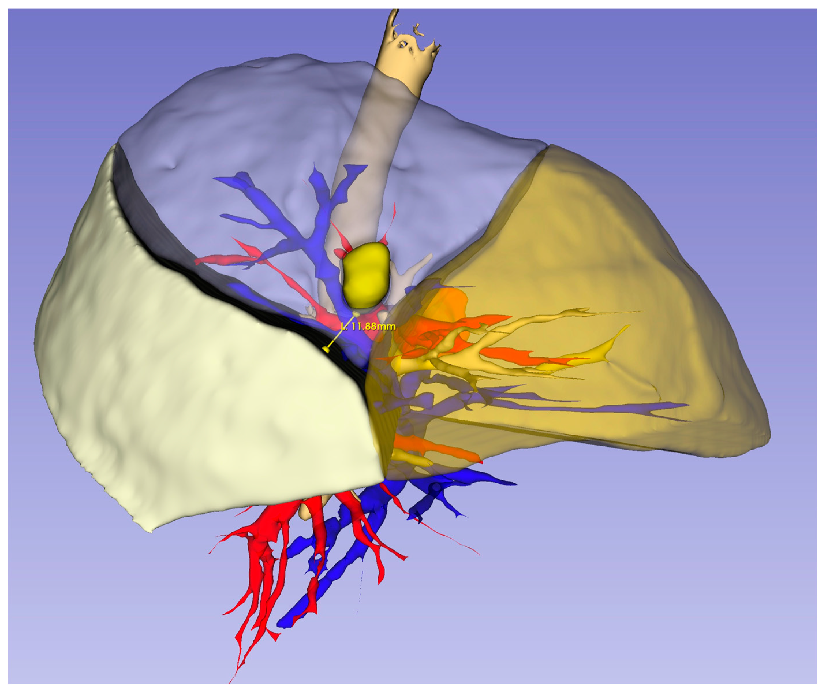 Medicina 61 00535 g002