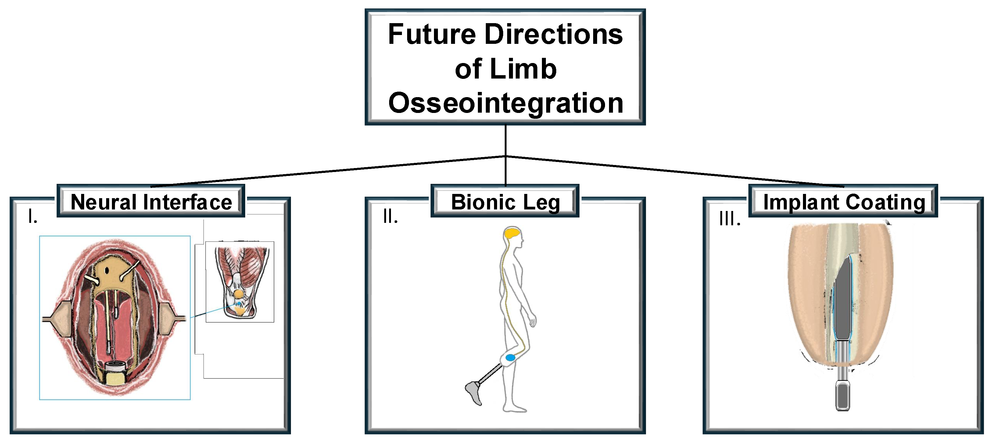 Medicina 61 00542 g002