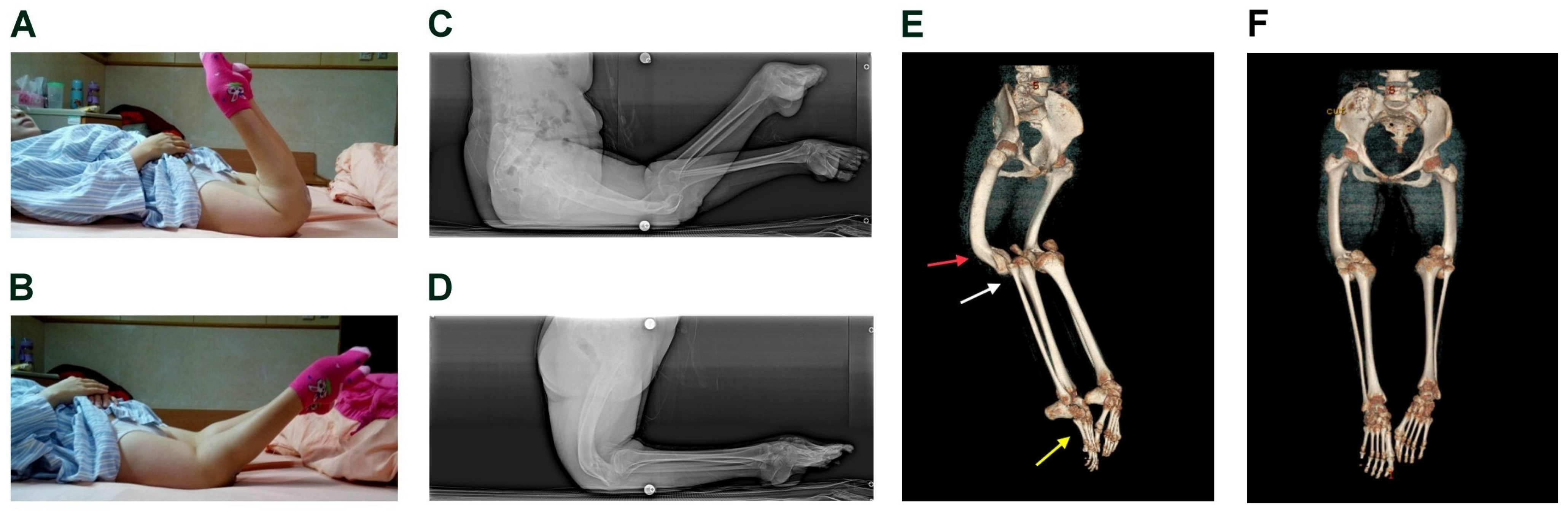Medicina 61 00543 g001