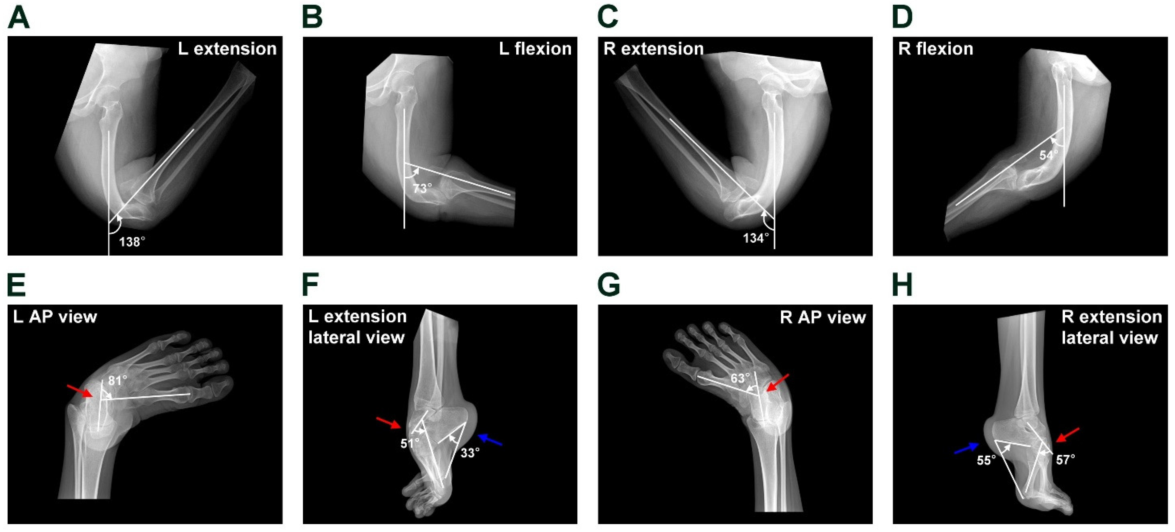 Medicina 61 00543 g002
