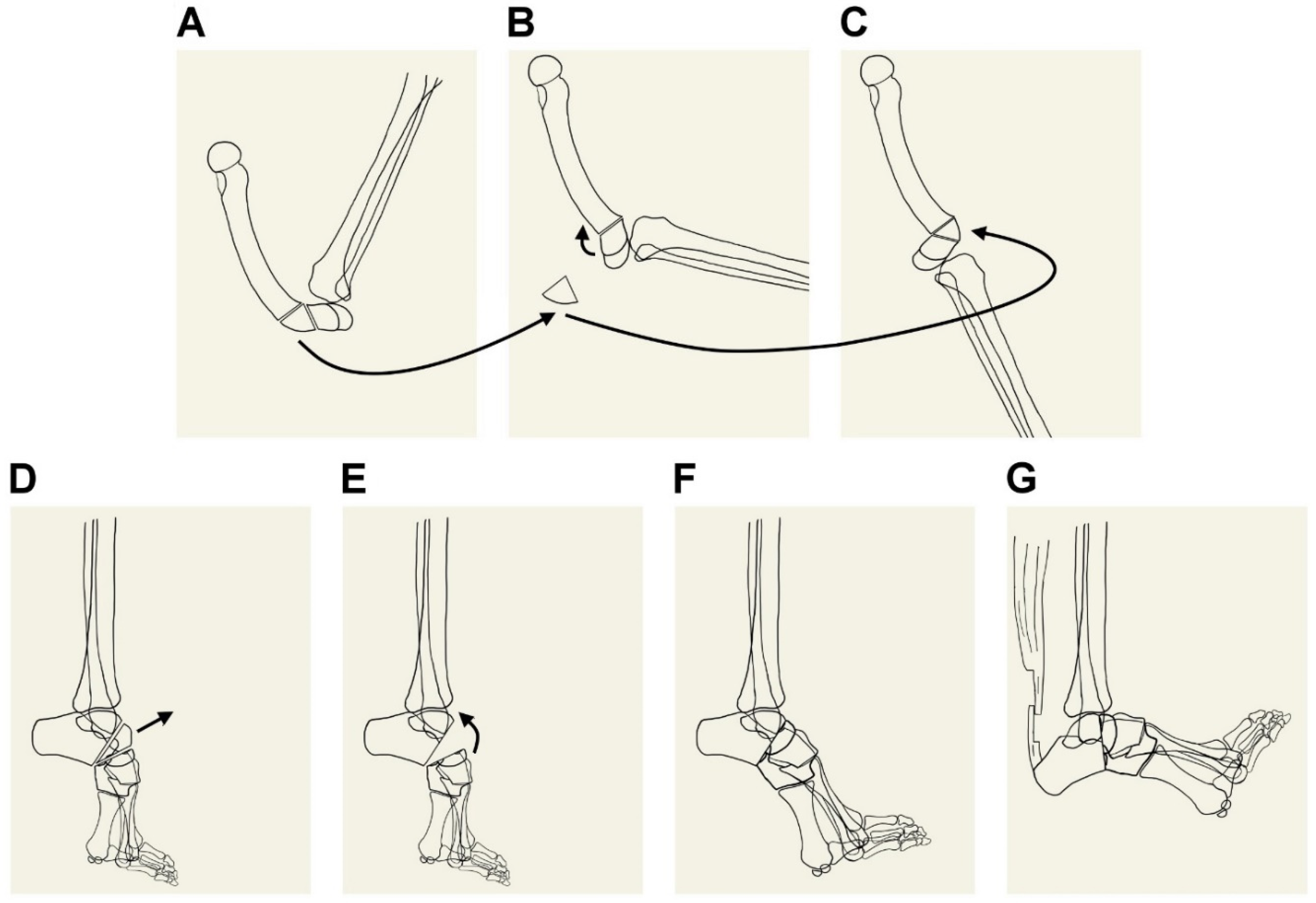 Medicina 61 00543 g003