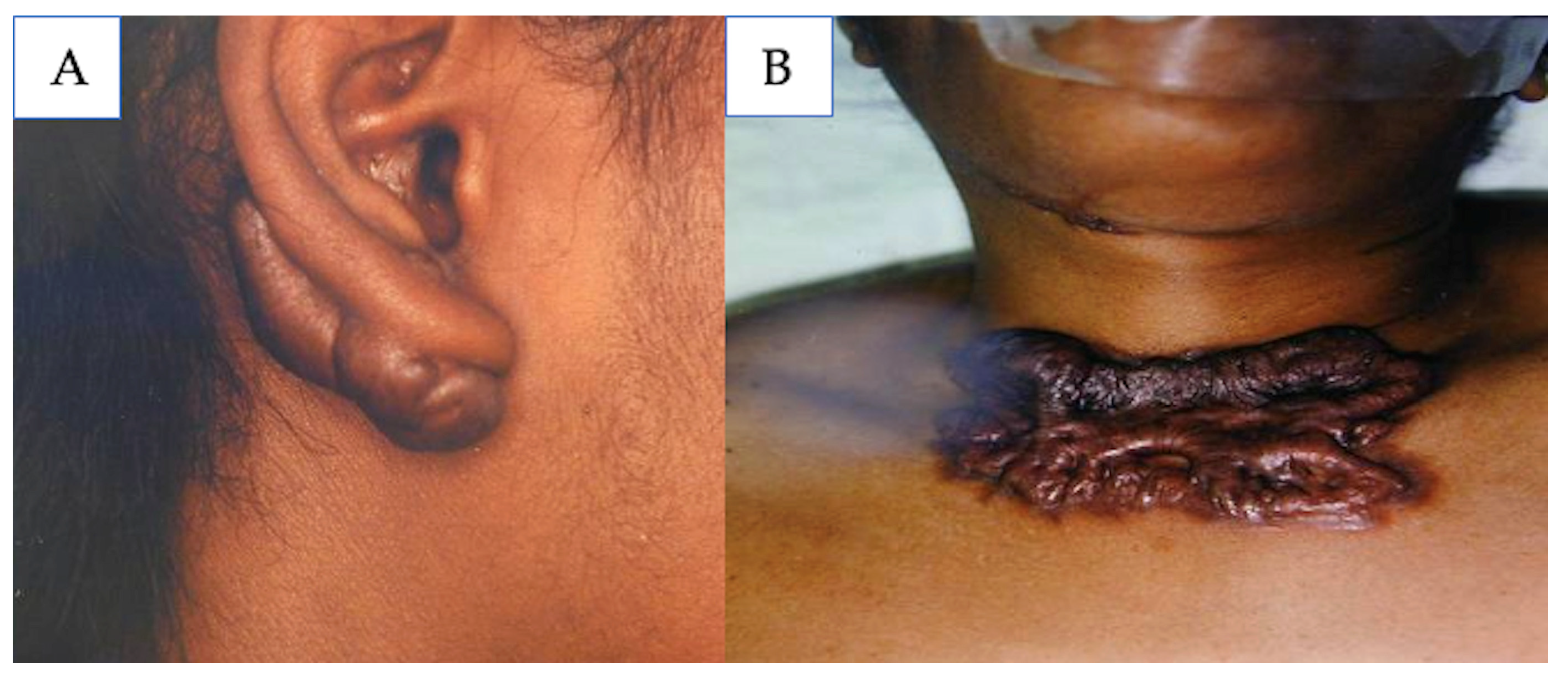 Medicina 61 00553 g009