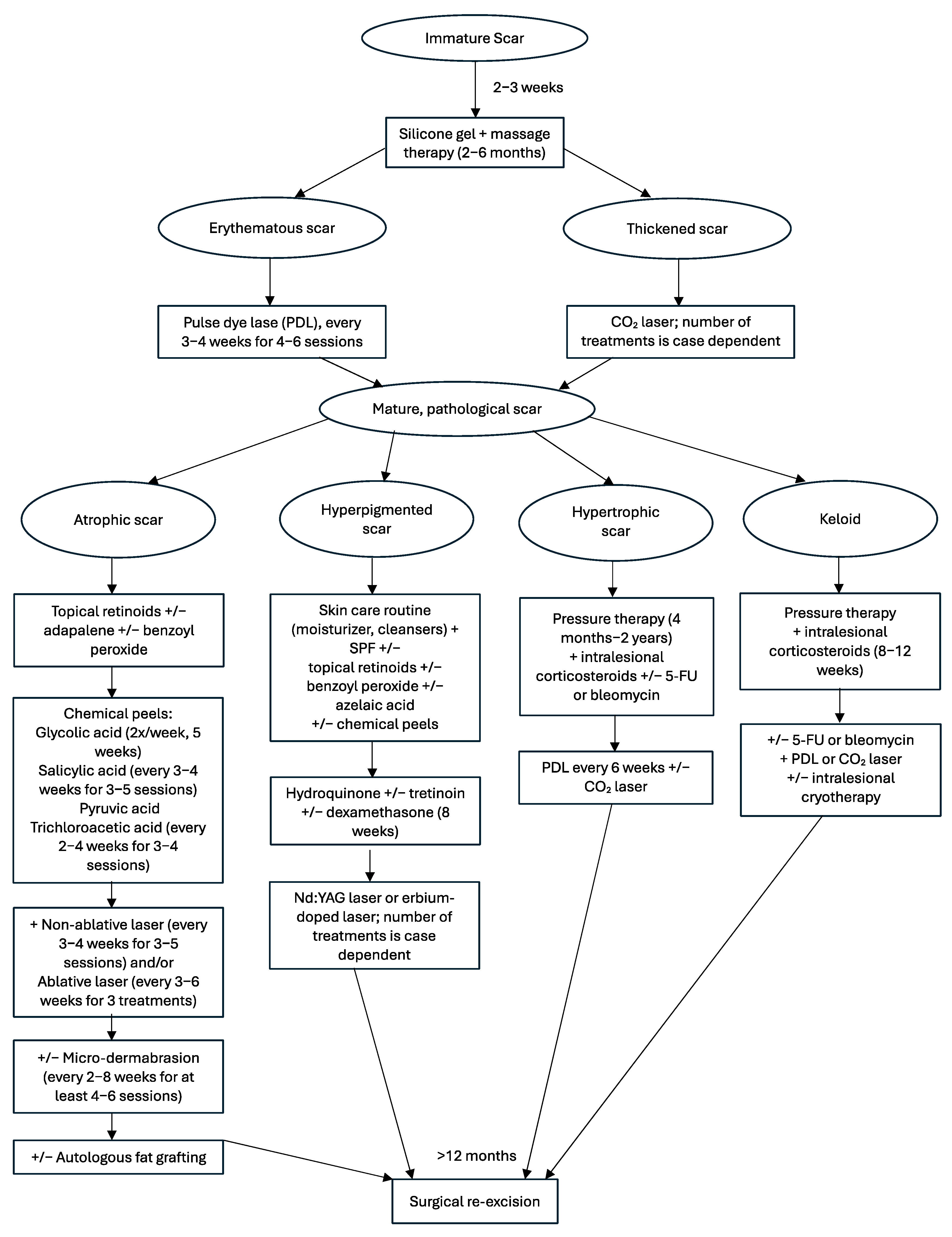 Medicina 61 00553 g011