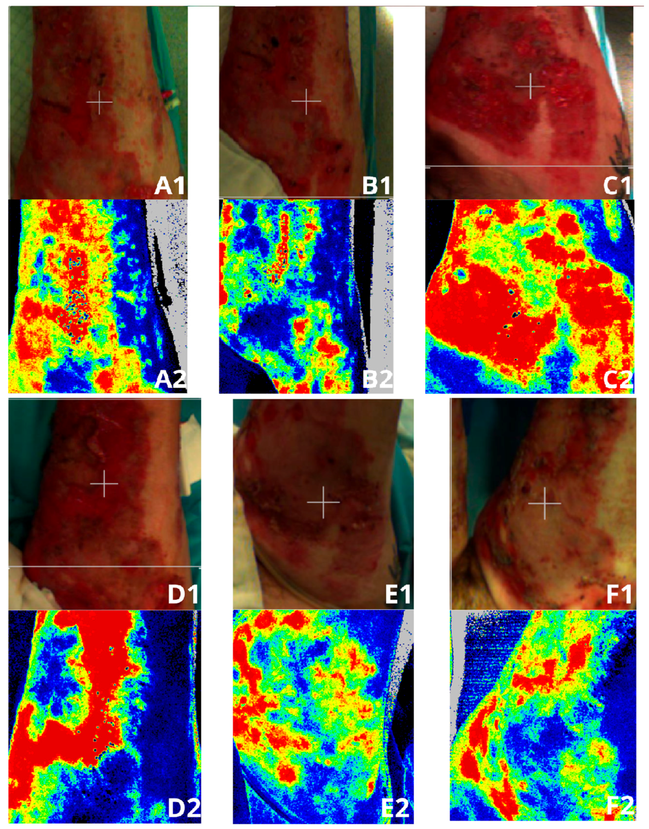 Medicina 61 00554 g005