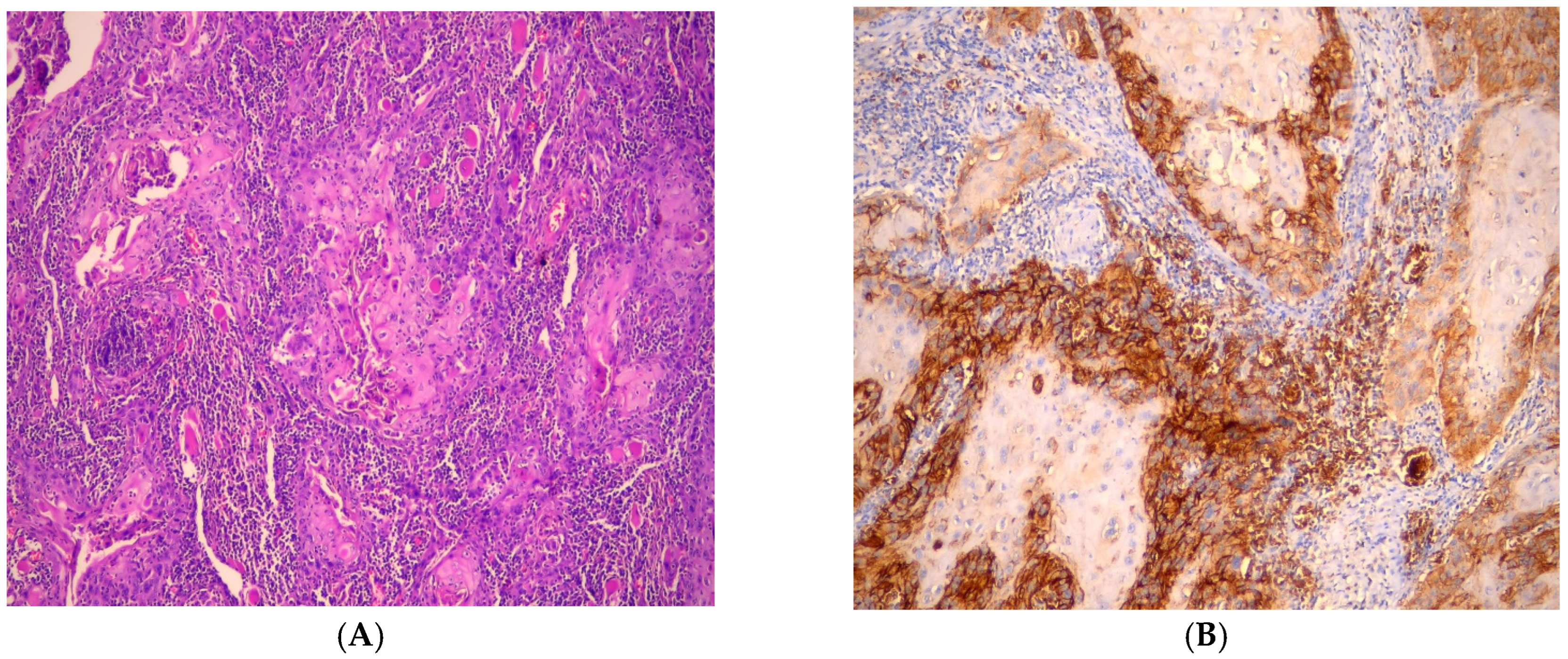 Medicina 61 00557 g004