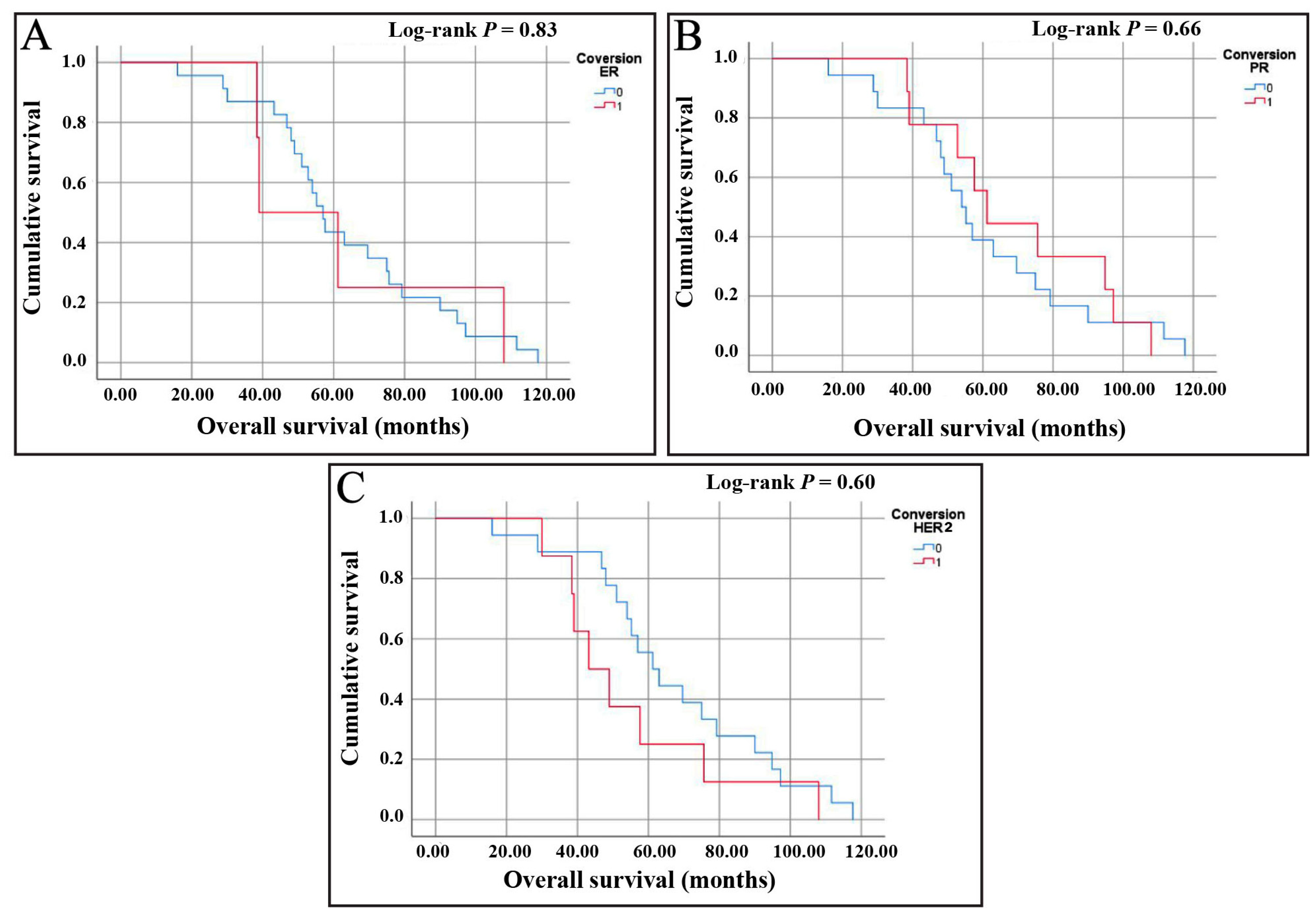 Medicina 61 00563 g002