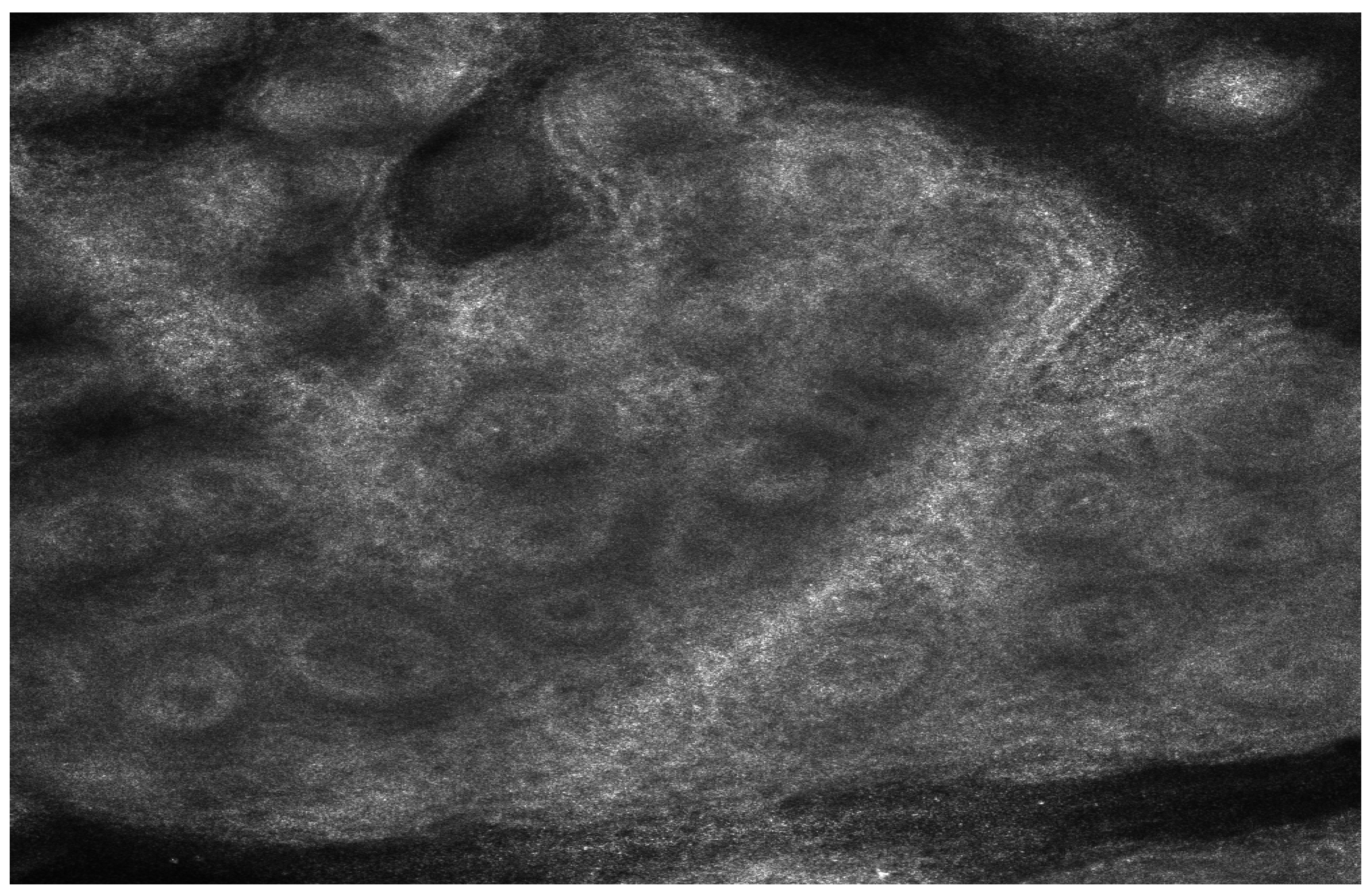 Medicina 61 00565 g001