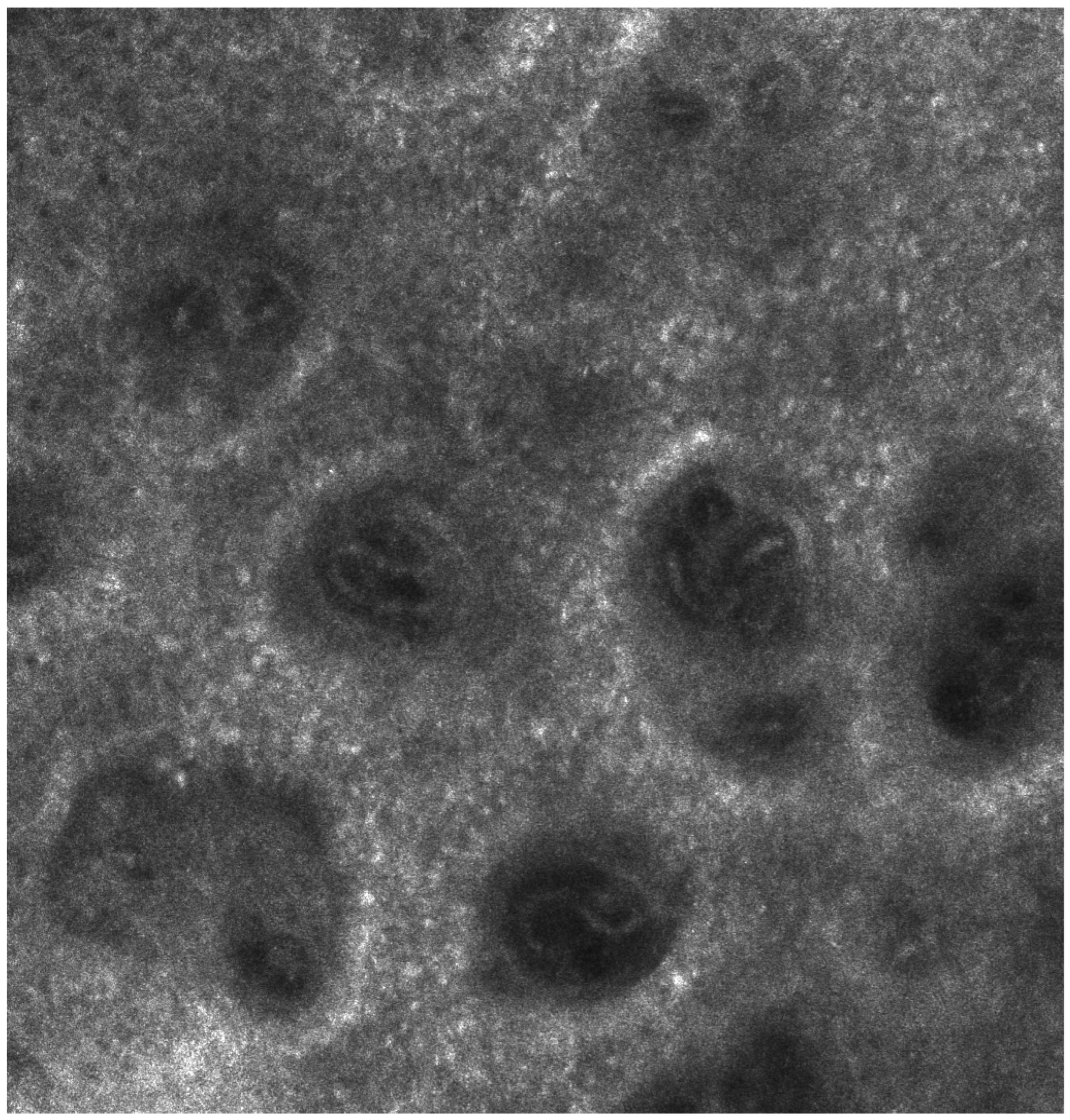 Medicina 61 00565 g002