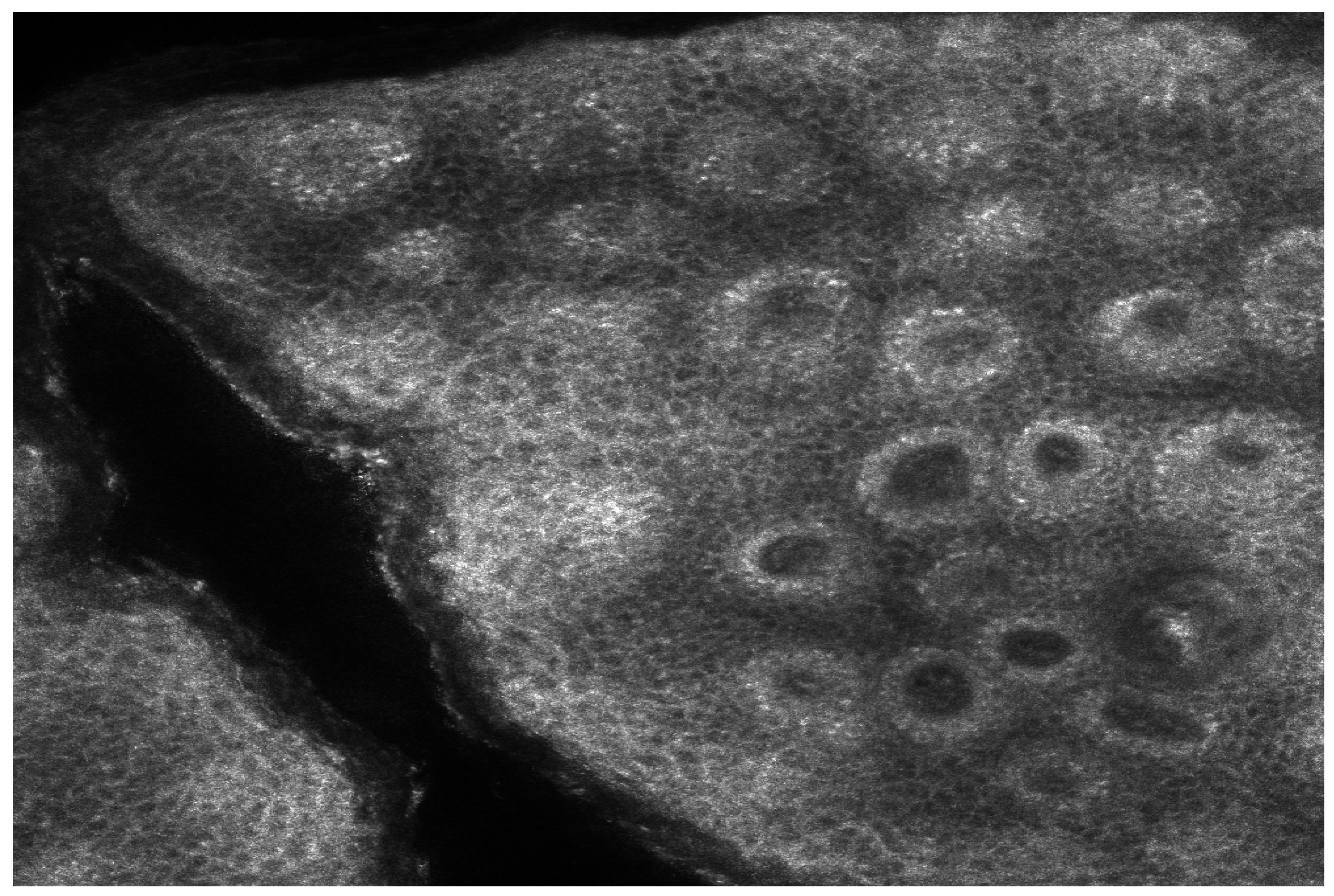 Medicina 61 00565 g003