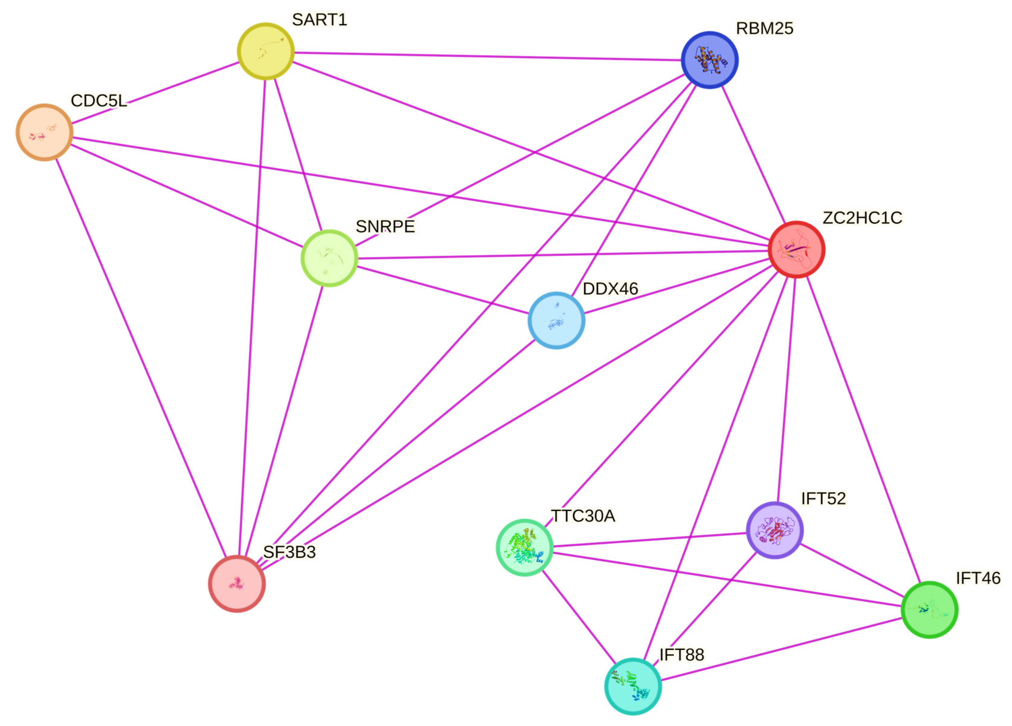 Medicina 61 00574 g003