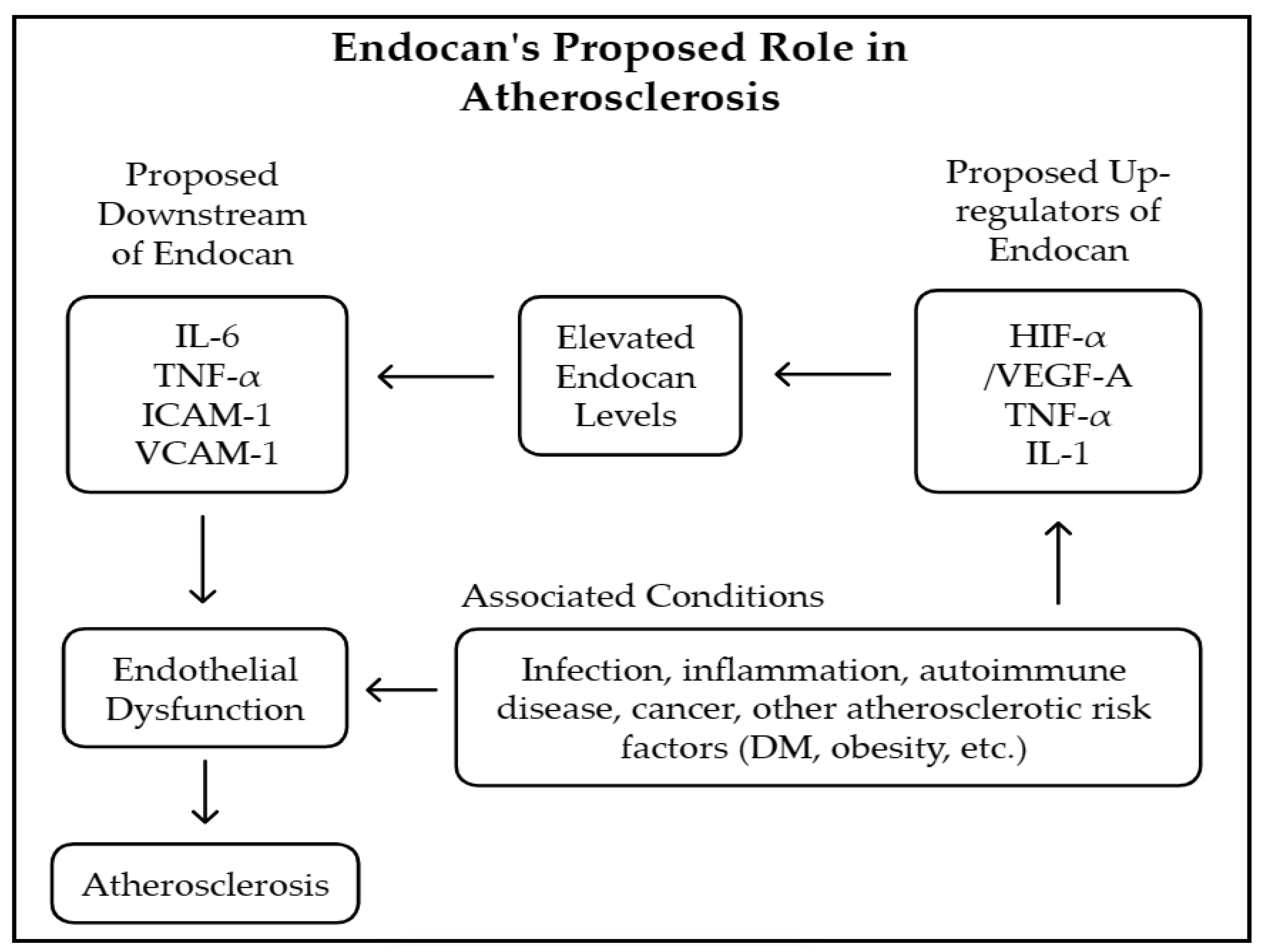 Medicina 61 00577 g002