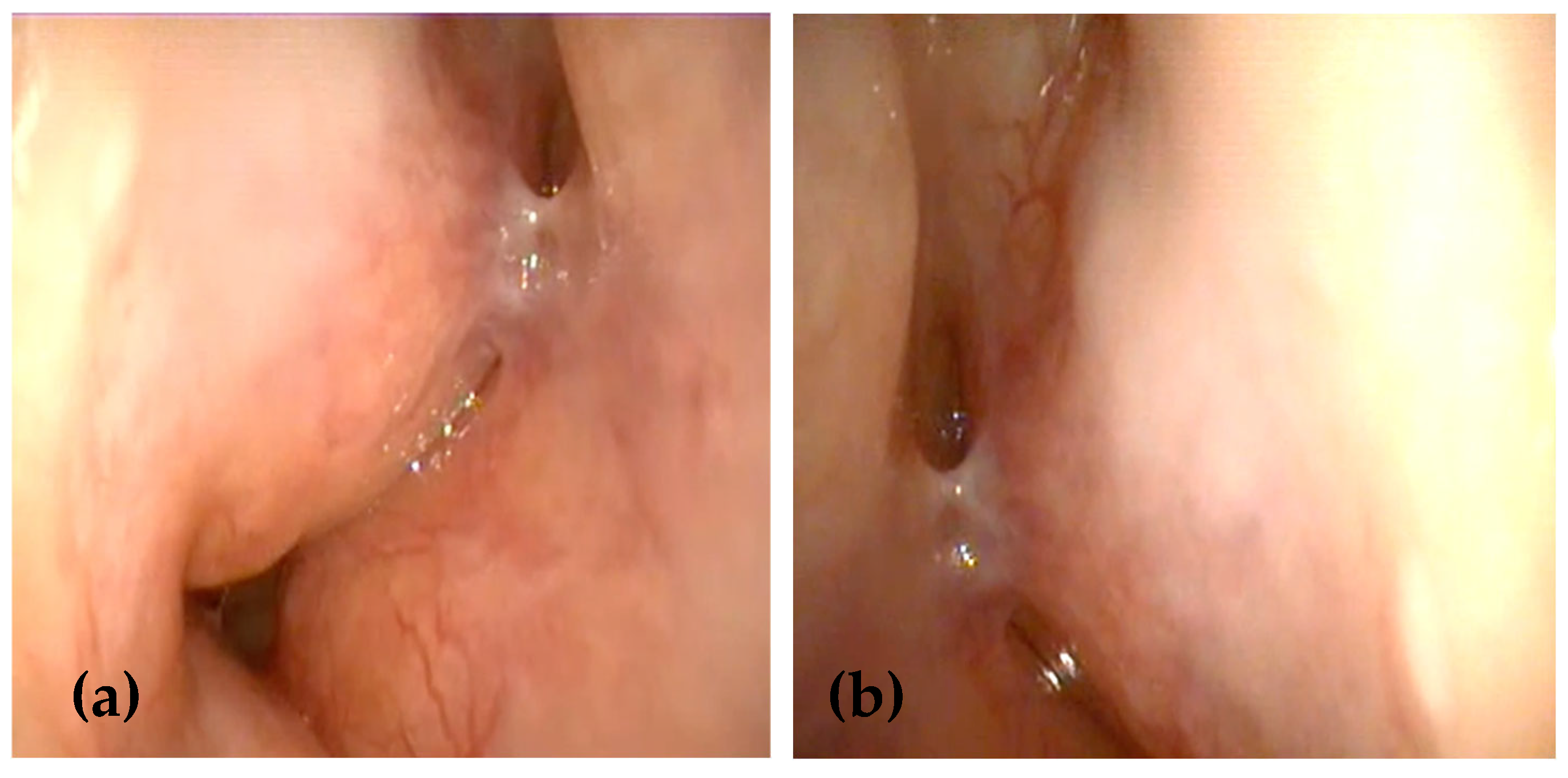 Medicina 61 00585 g001