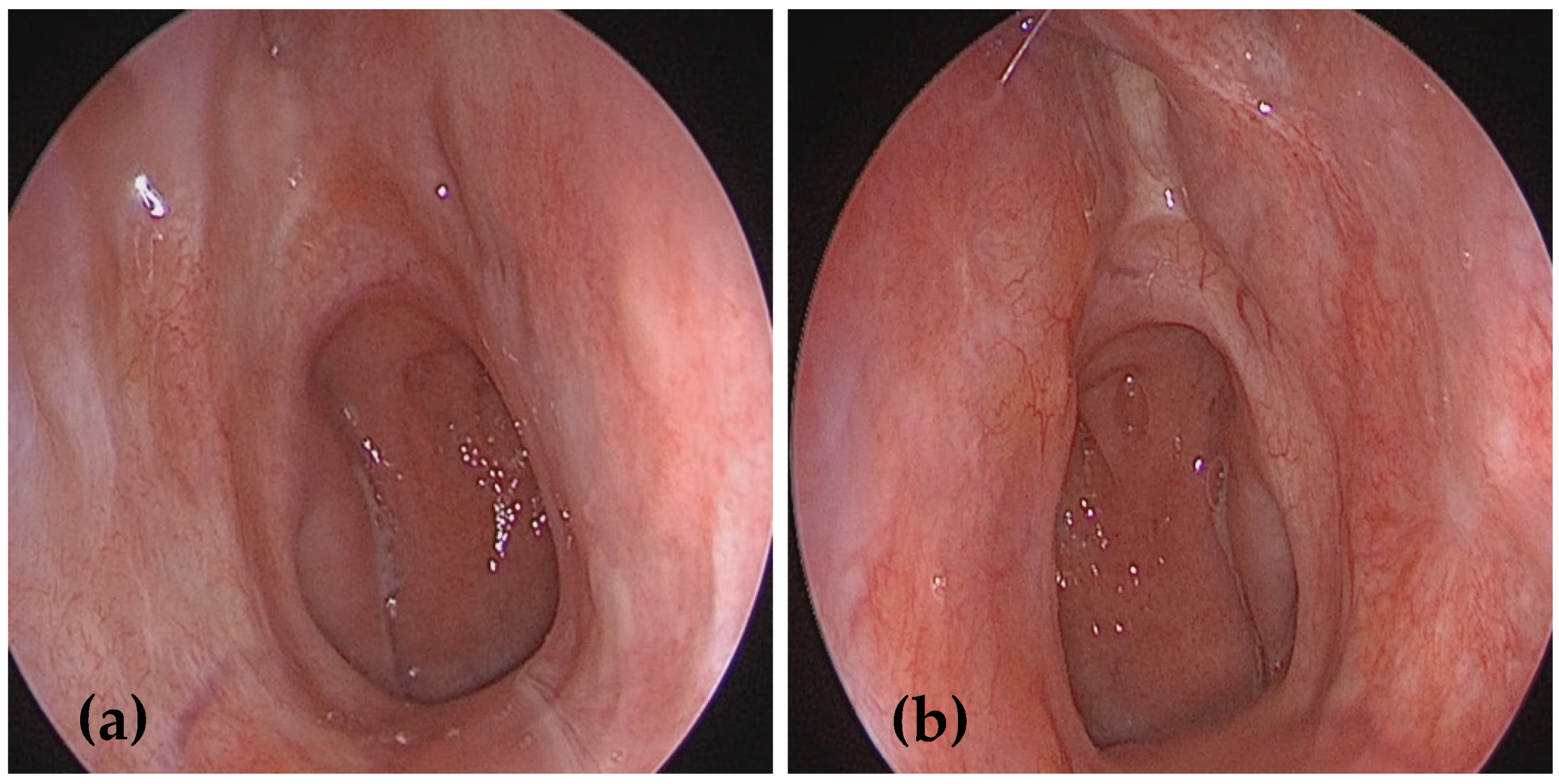 Medicina 61 00585 g005