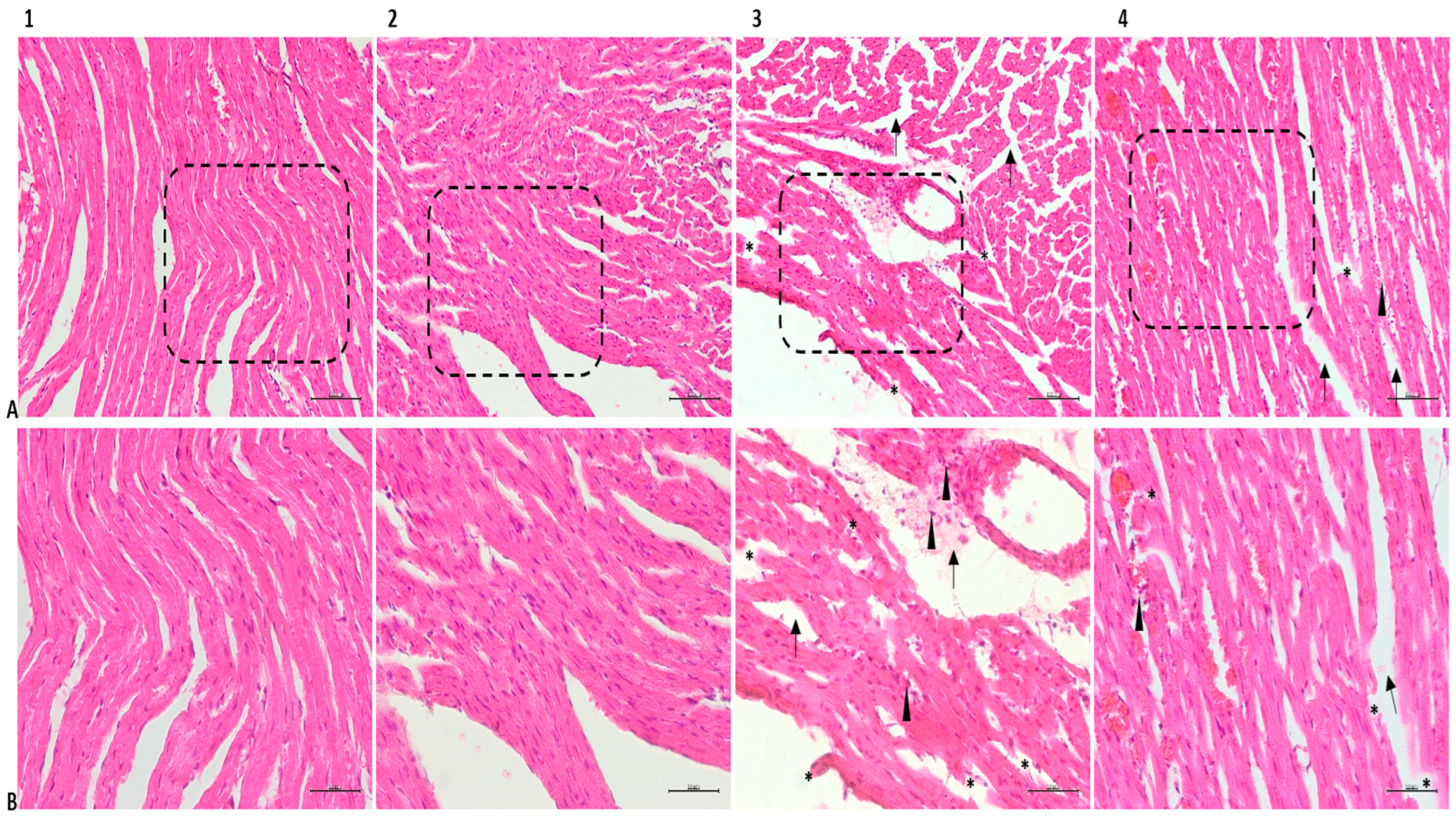 Medicina 61 00589 g004