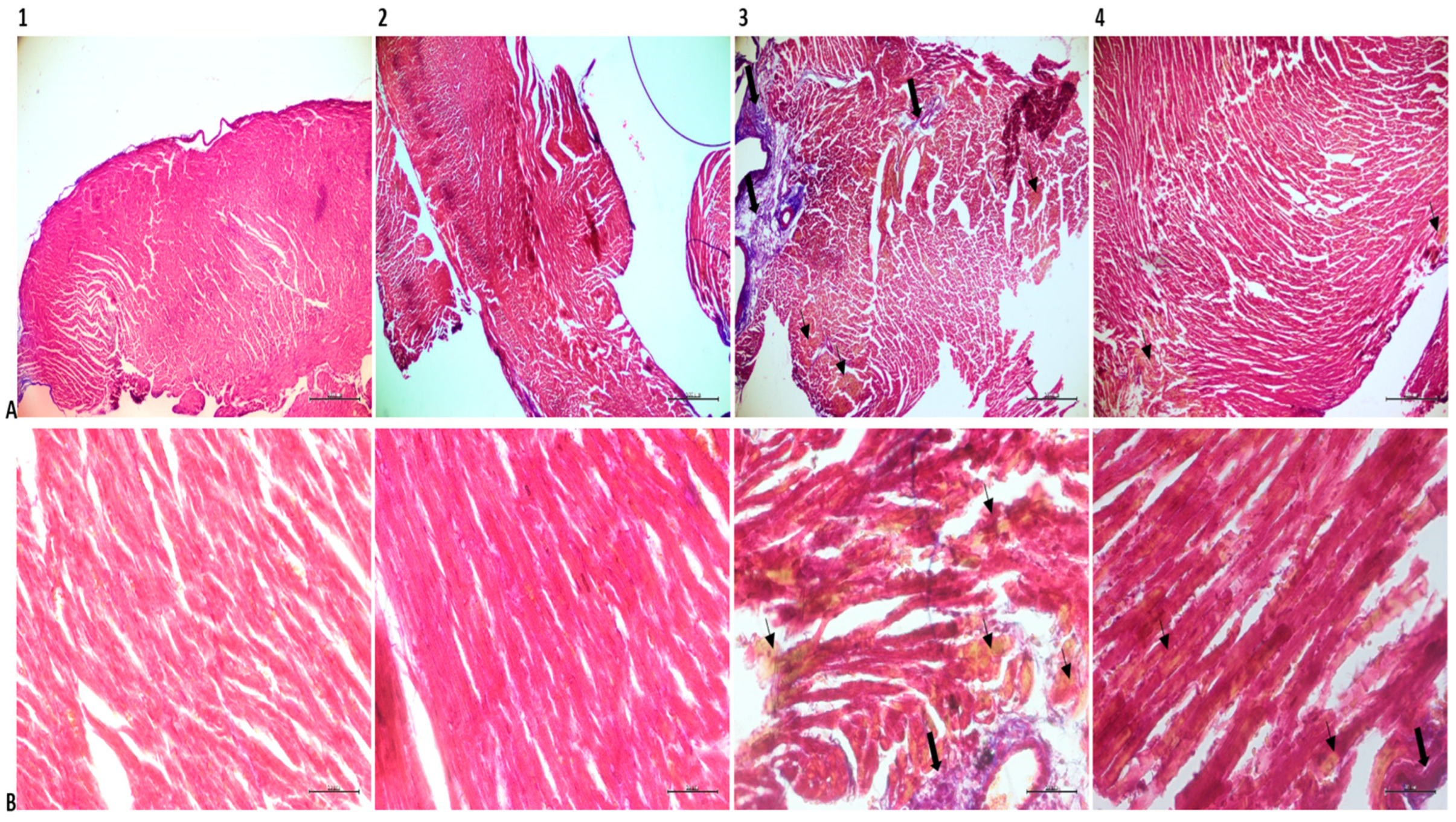 Medicina 61 00589 g005